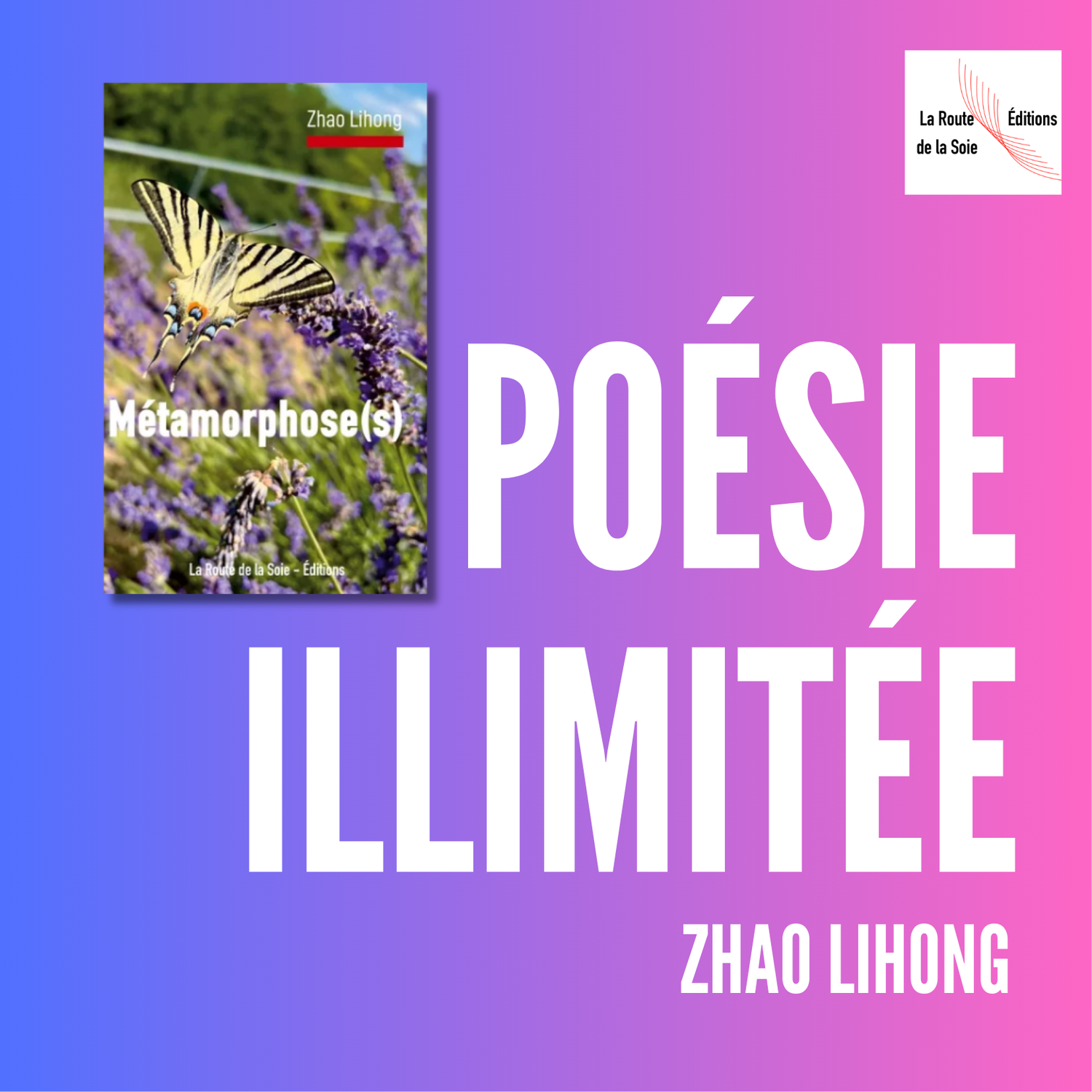 Parution de Métamorphose(s) de Zhao Lihong