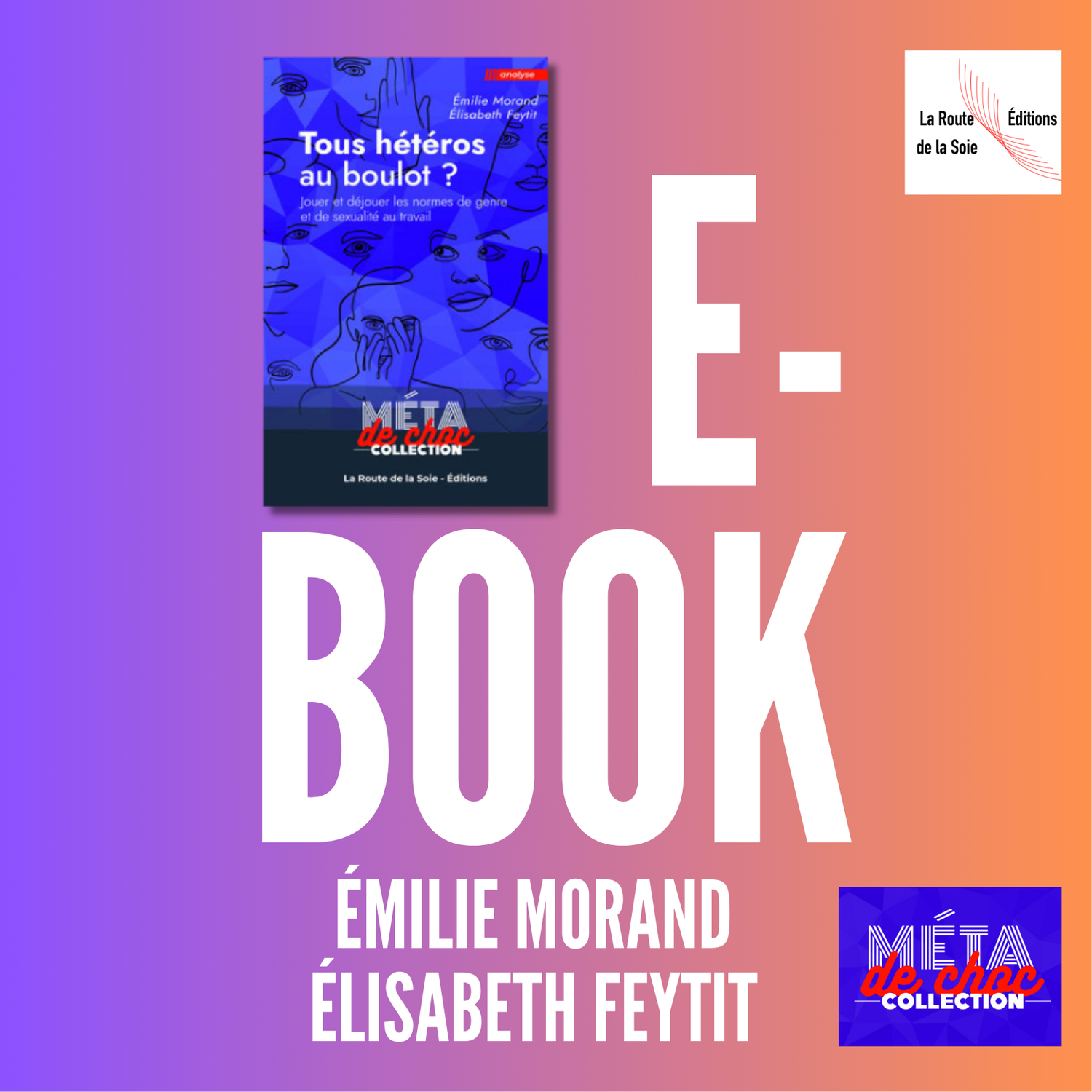 "Tous hétéros au boulot ?" disponible en e-book
