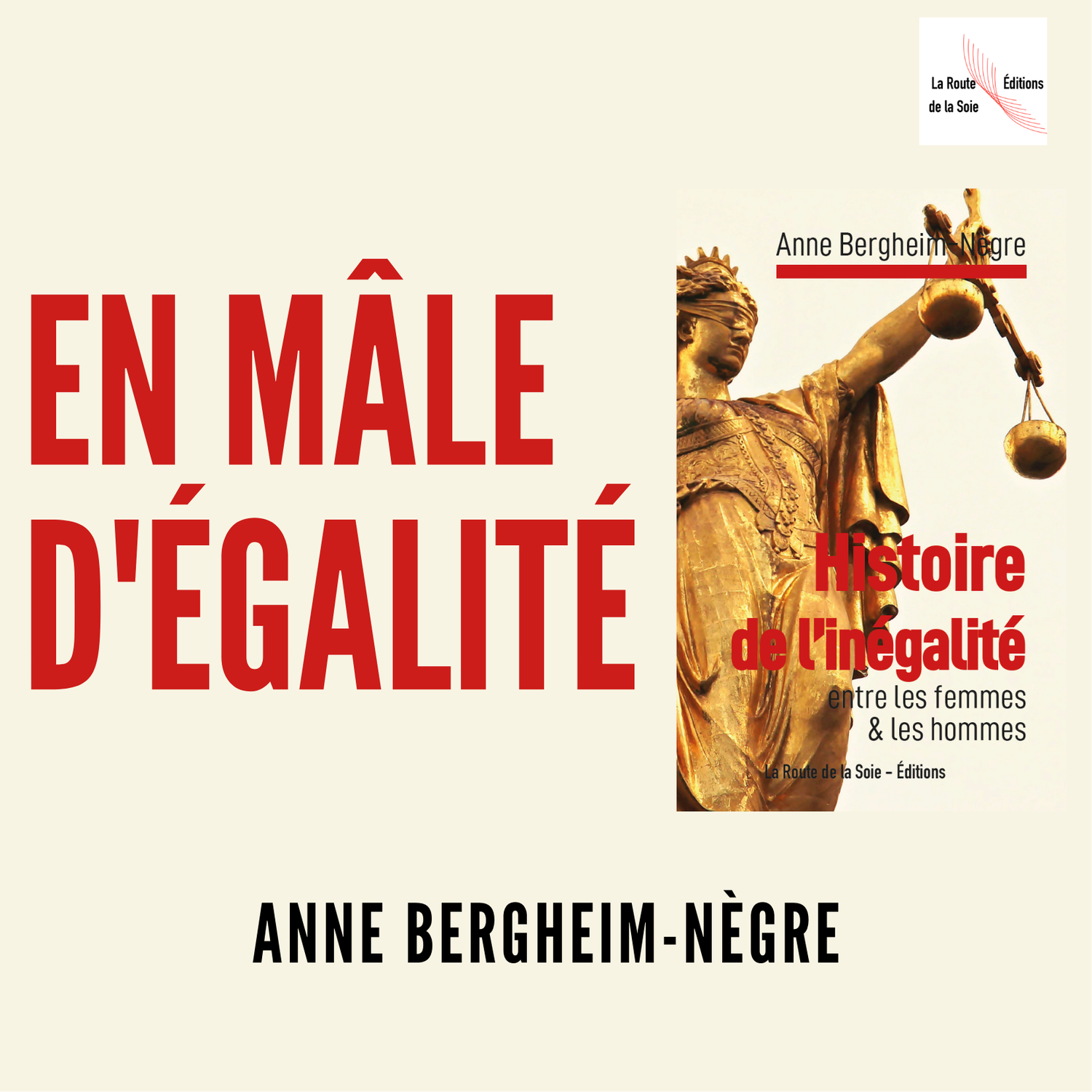 L'histoire de l'inégalité par Anne Bergheim-Nègre