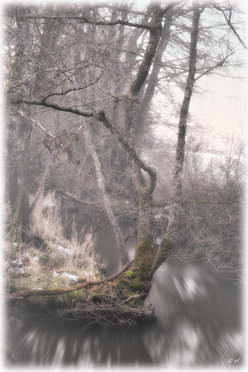 Wintermorgen - Teil 1