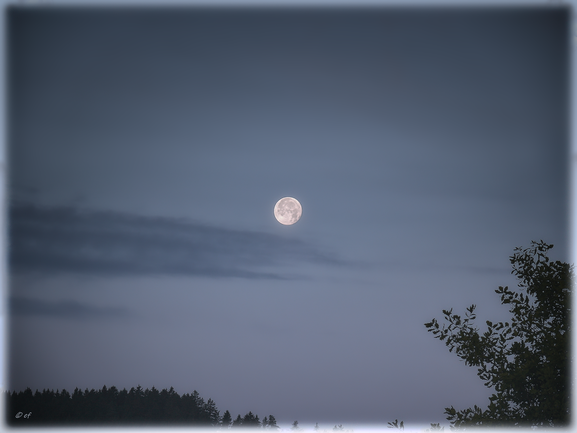 Der Mond am 12. Juli 2025