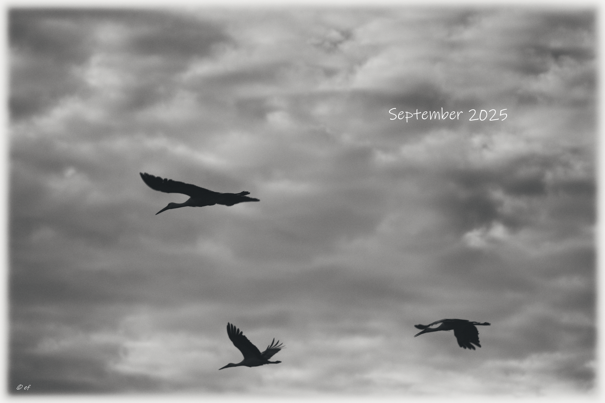 Der September 2025