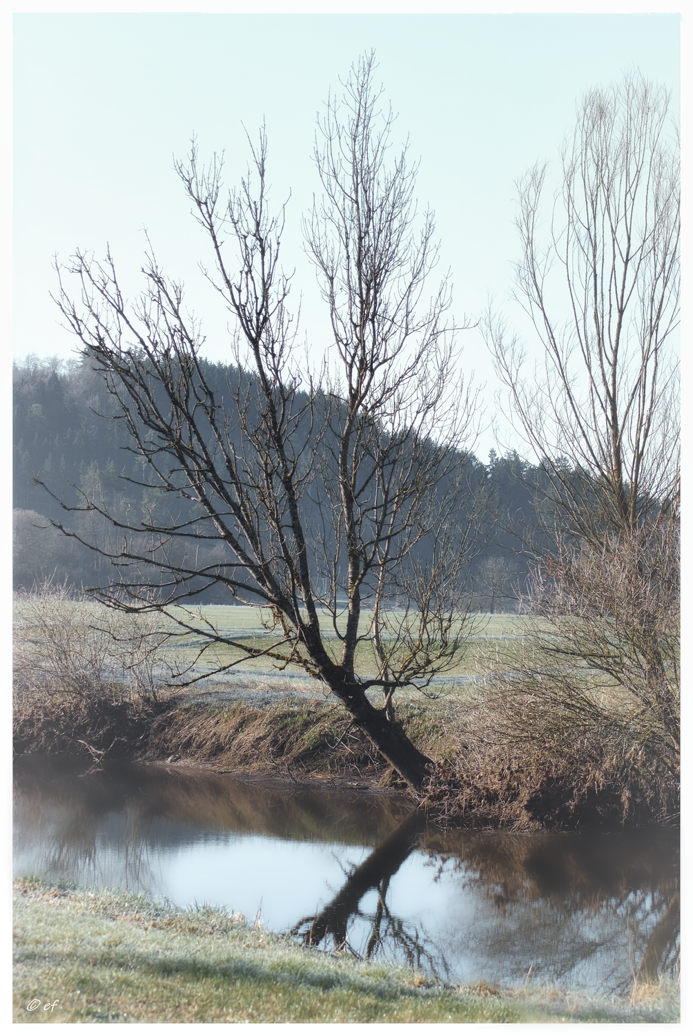 An der Brigach: Von Beckhofen Richtung Aufen