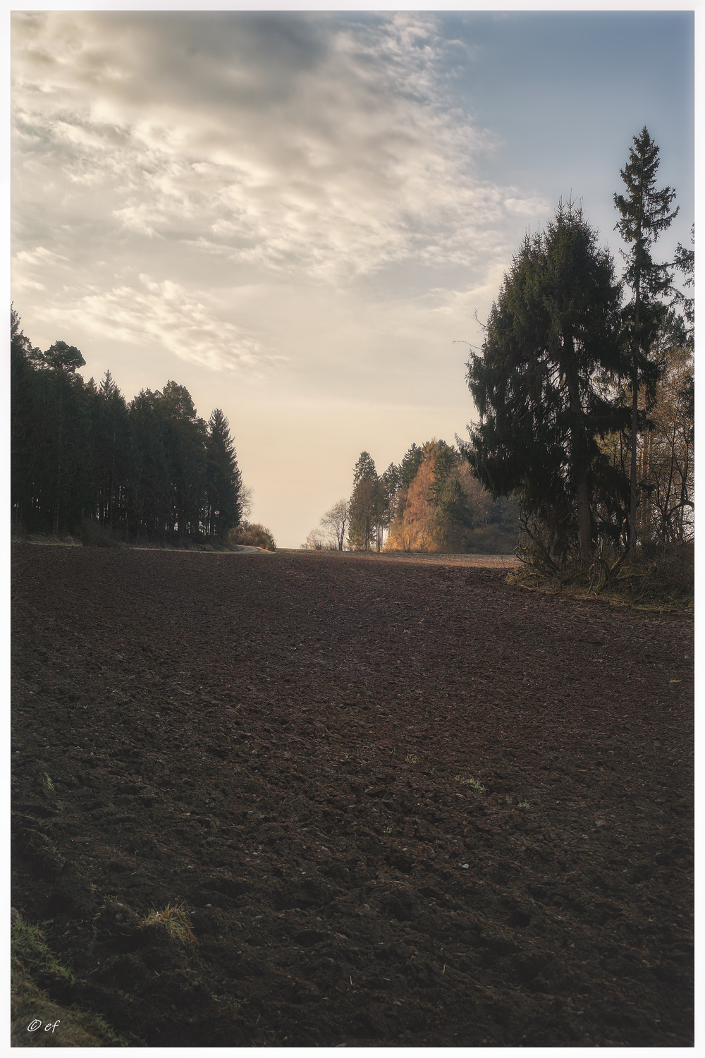 Ein Rundweg am Talbach