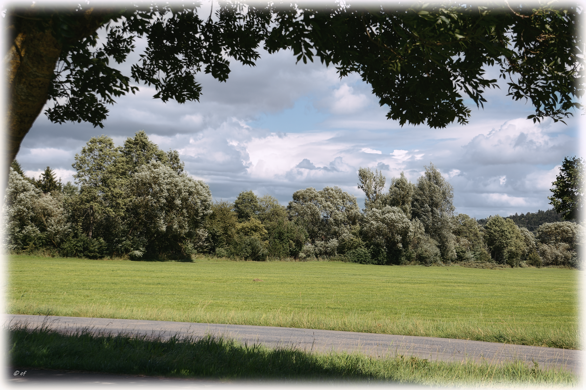 Sommeransichten - Wiesen, Felder, Himmel & Erde
