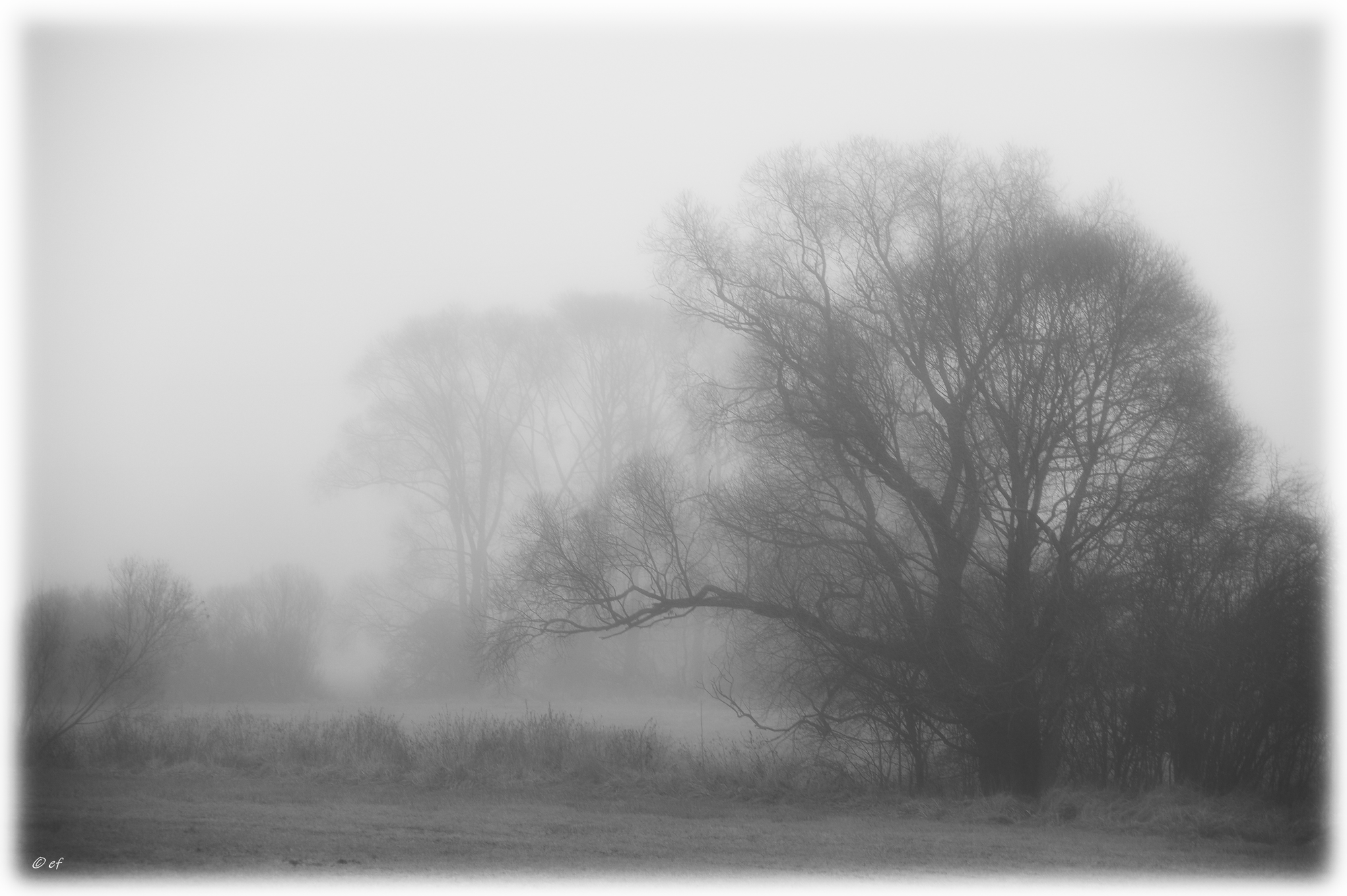Der weiße Schleier der Stille - Teil 1