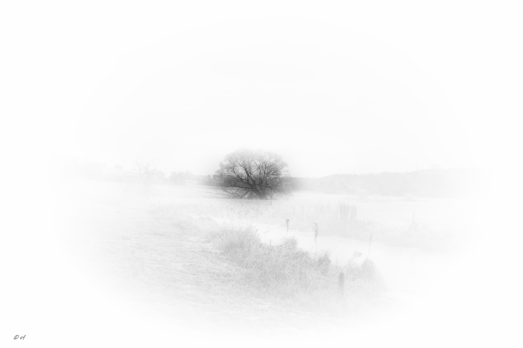 Wintermorgen - Teil 2