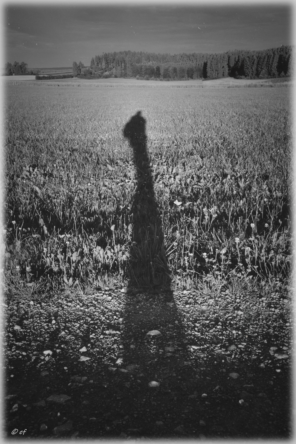 Sommeransichten in B&W