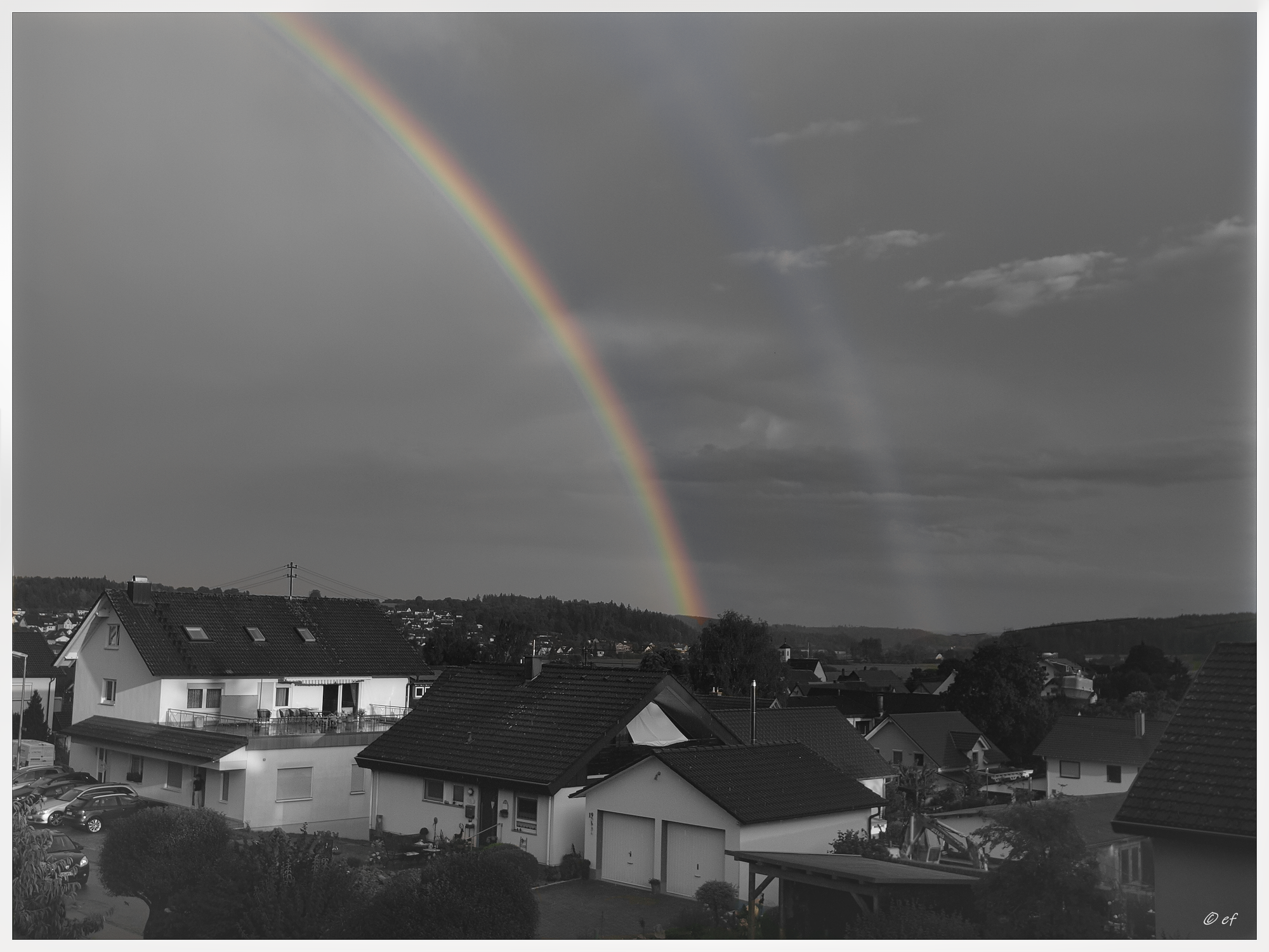 Die Magie der Entschleunigung: Ein Sommermorgen mit der Olympus E-410