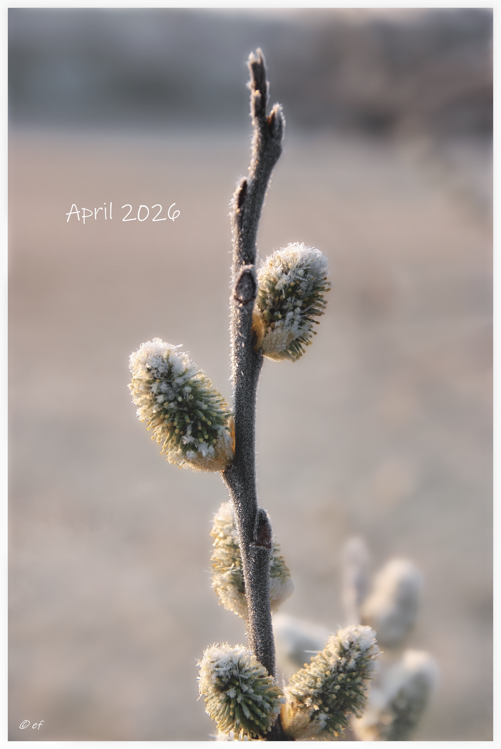 Der April 2026