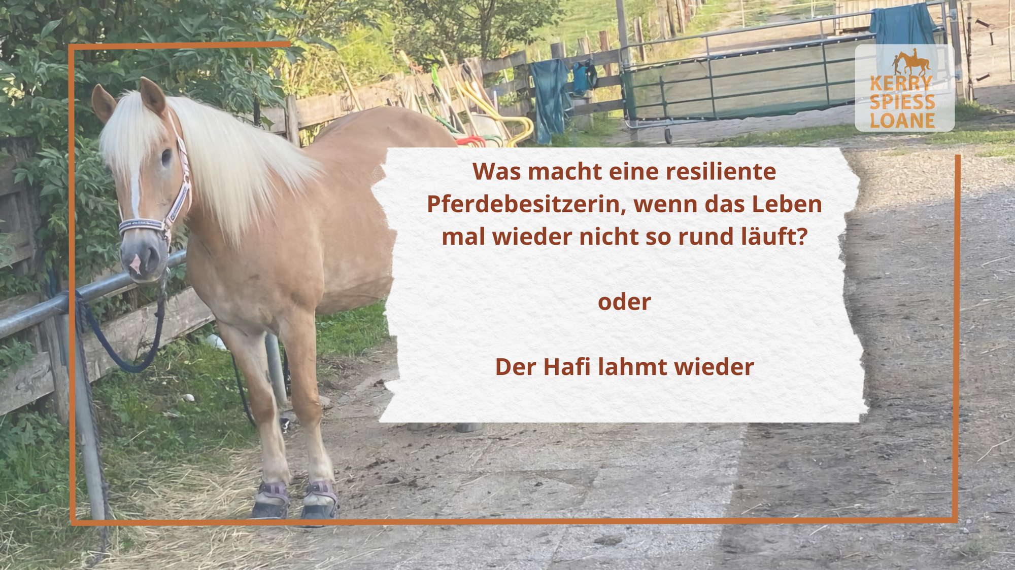 "Was macht eine resiliente Pferdebesitzerin, wenn das Leben mal wieder nicht so rund läuft?" oder "Der Hafi lahmt wieder"