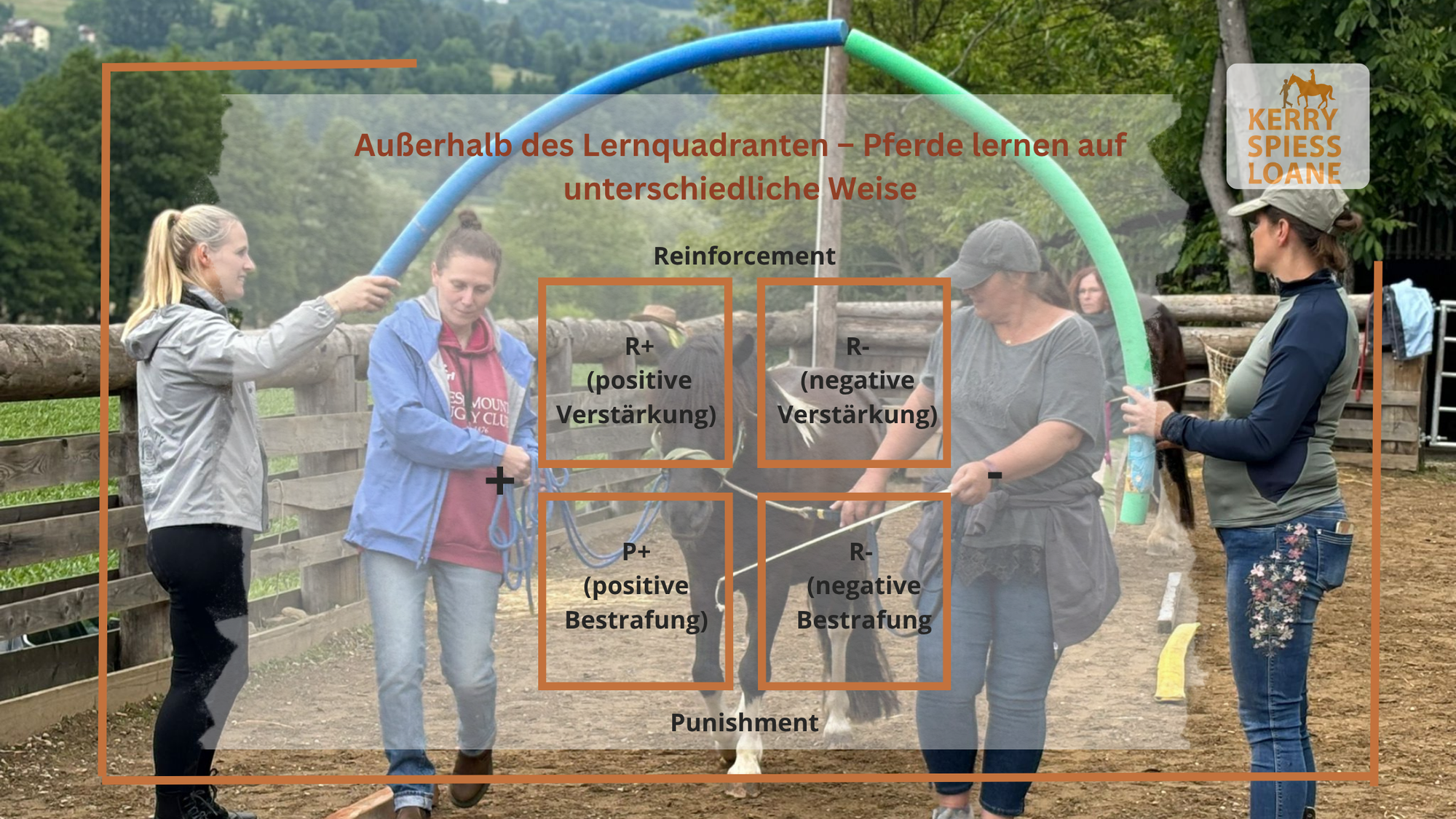 Außerhalb des Lernquadranten – Pferde lernen auf unterschiedliche Weise
