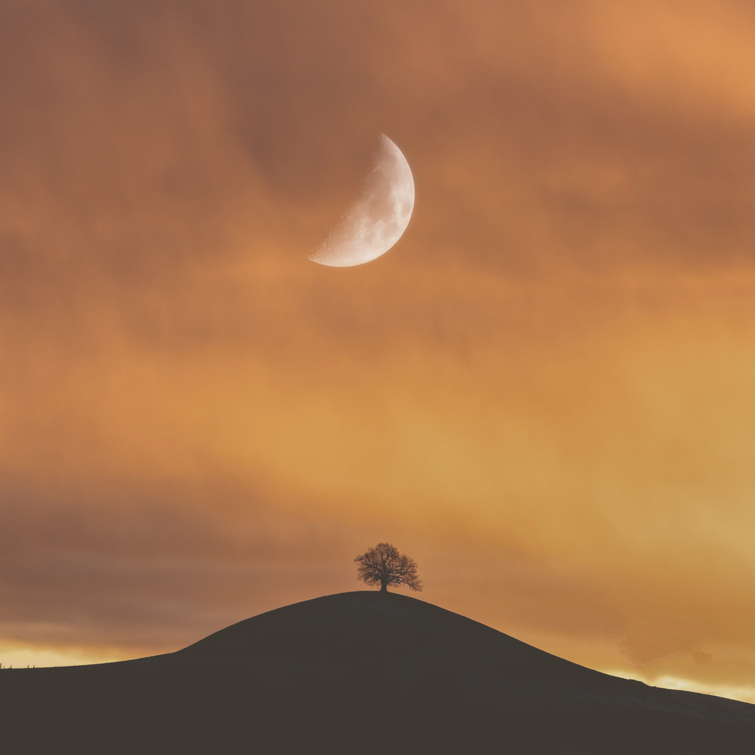 Übersicht: Mond in den 12 Sternzeichen