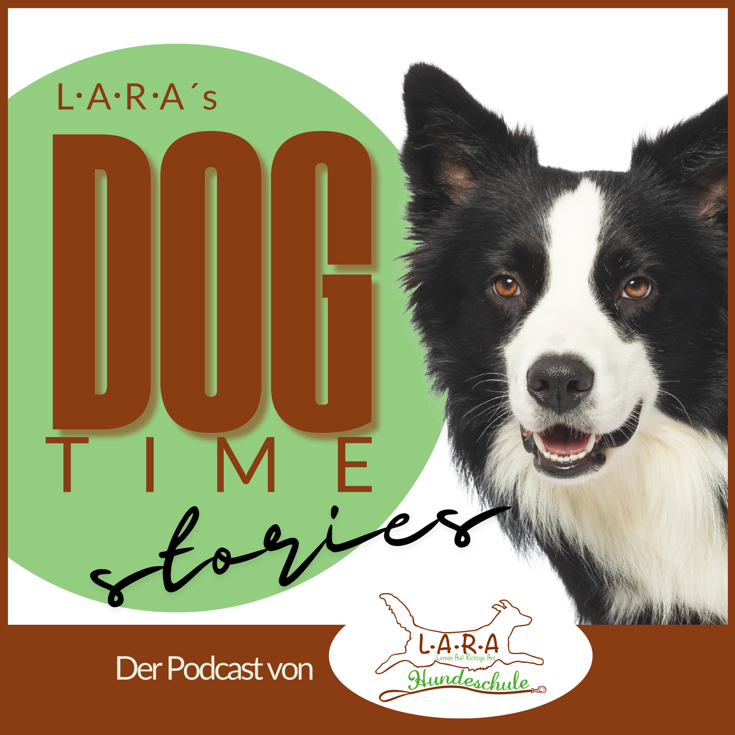 Die 2 Lager des Hundetrainings
