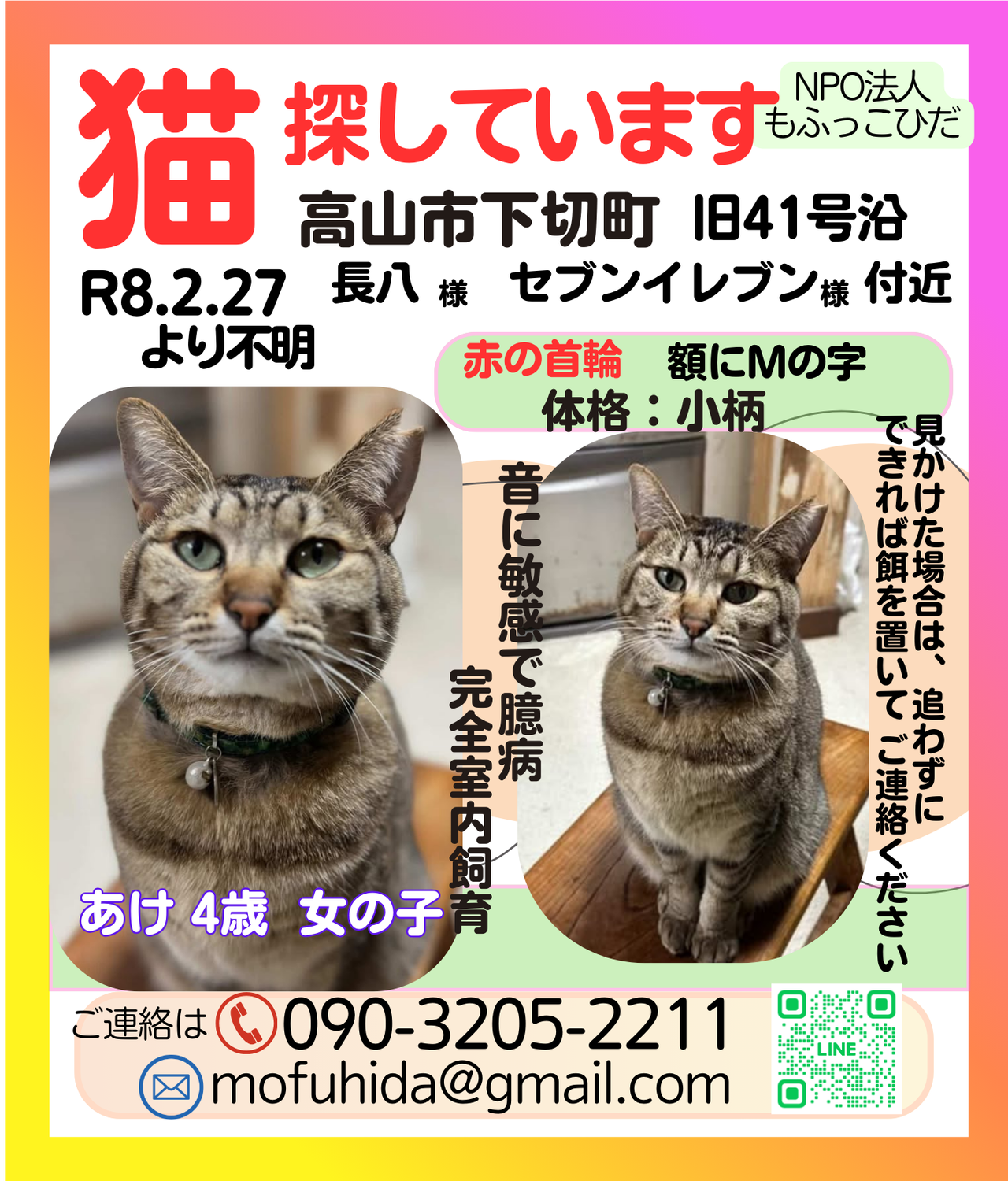 【緊急】猫探しています！