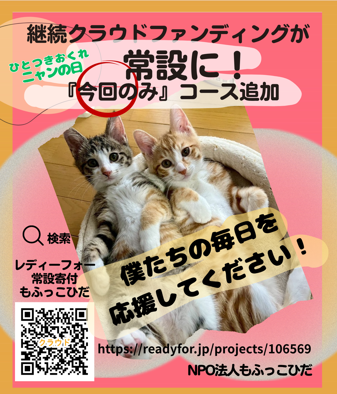ひとつき遅れ 猫の日のお願い☆