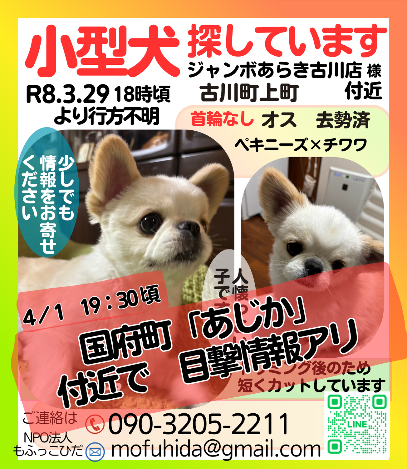 【速報　目撃情報がありました】