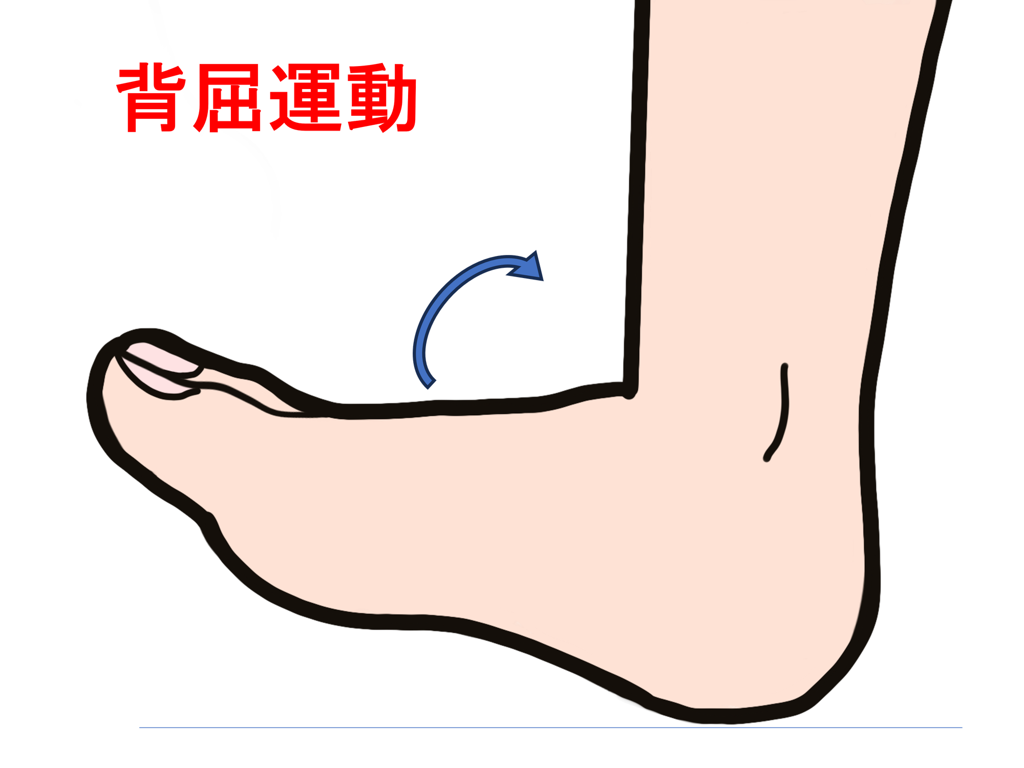 正しい歩きにはこの運動が鍵です！