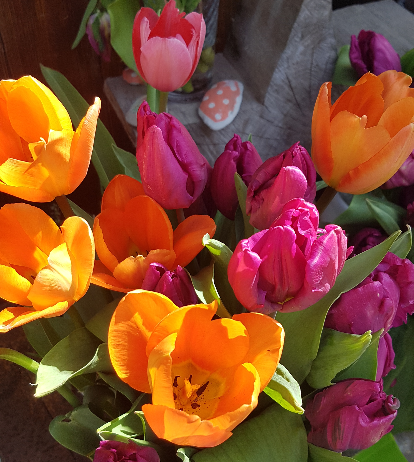 Frühlingsgrüße aus dem Garten