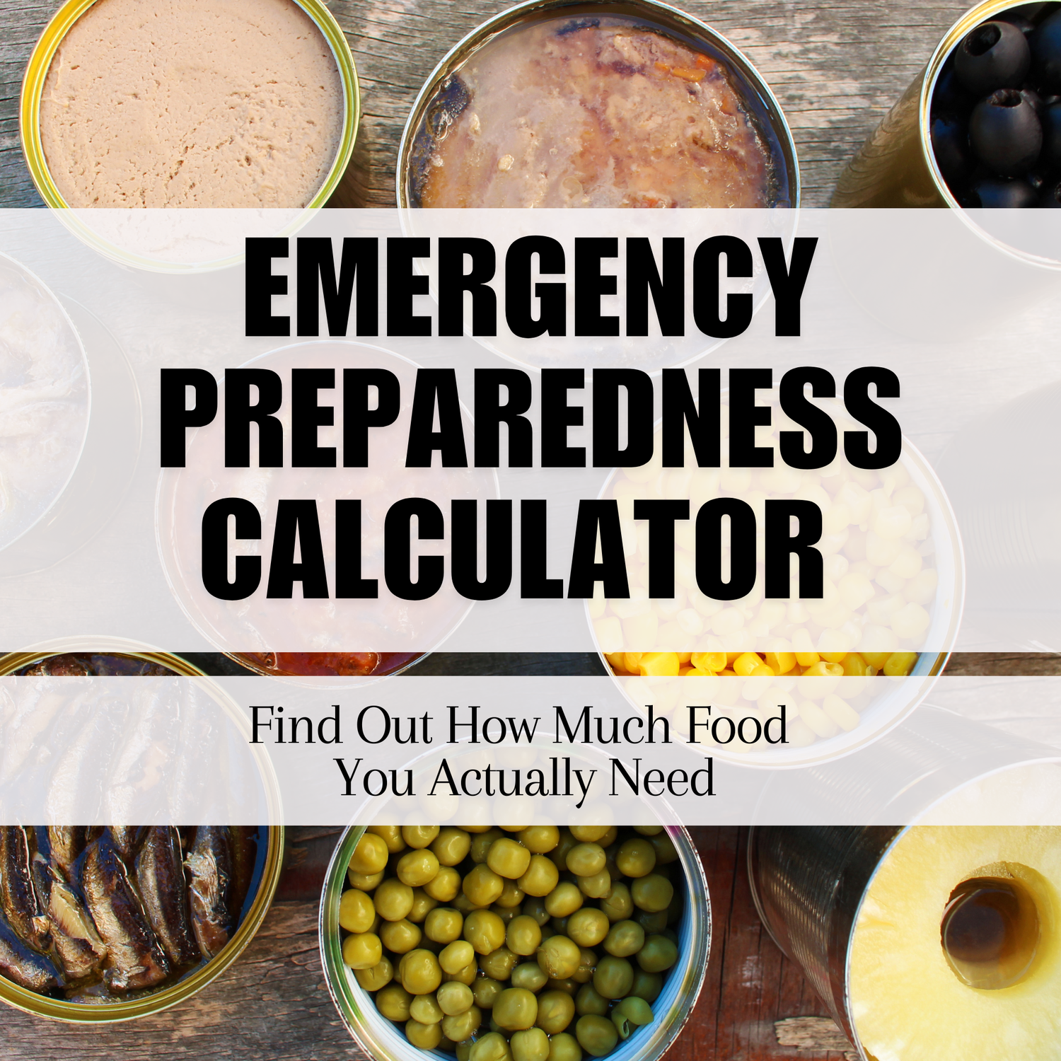 I Put My Household Into This Emergency Preparedness Calculator (Here's What Happened)
