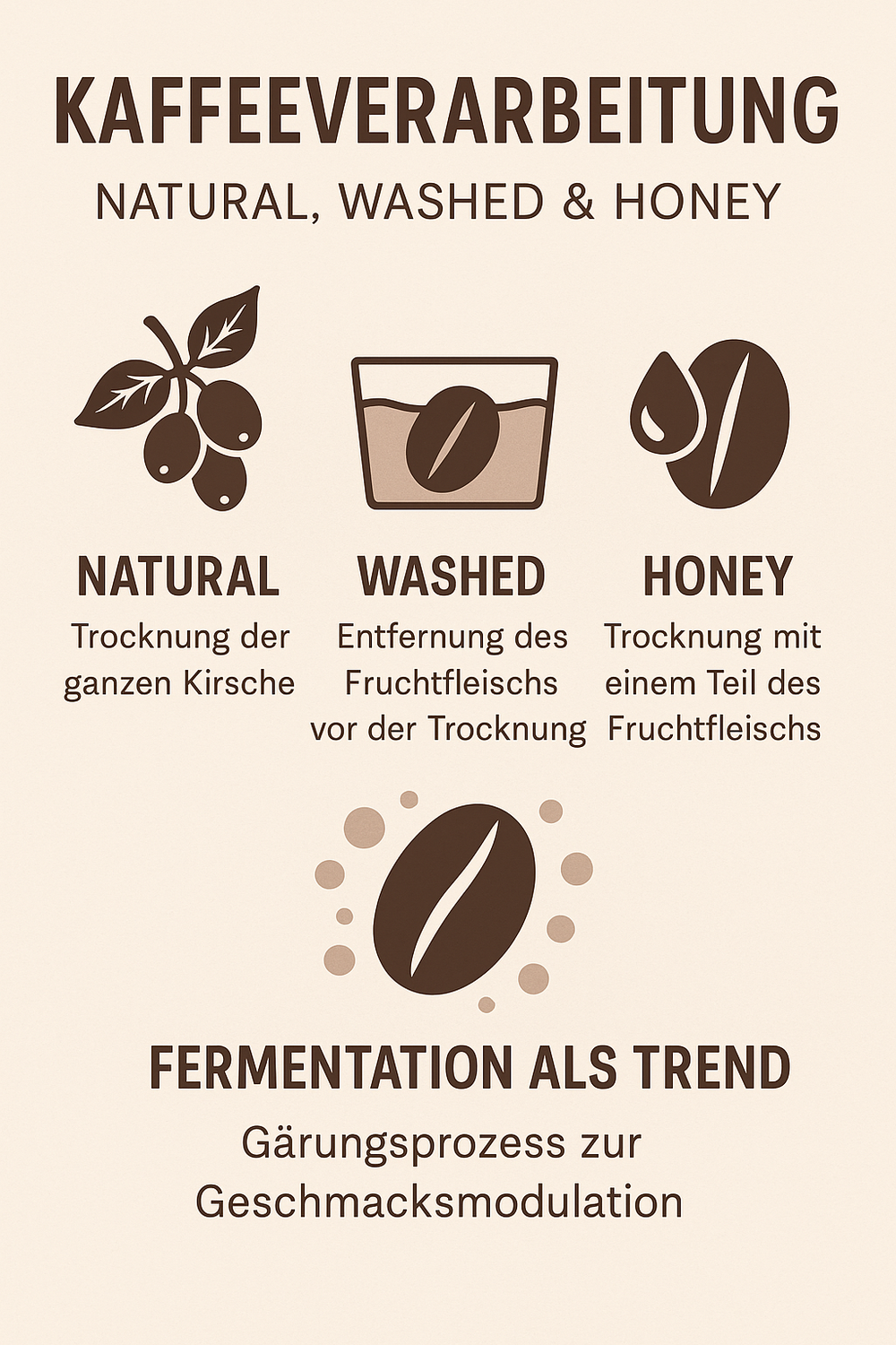 Natural, Washed & Honey: Wie die Verarbeitung den Kaffeegeschmack beeinflusst