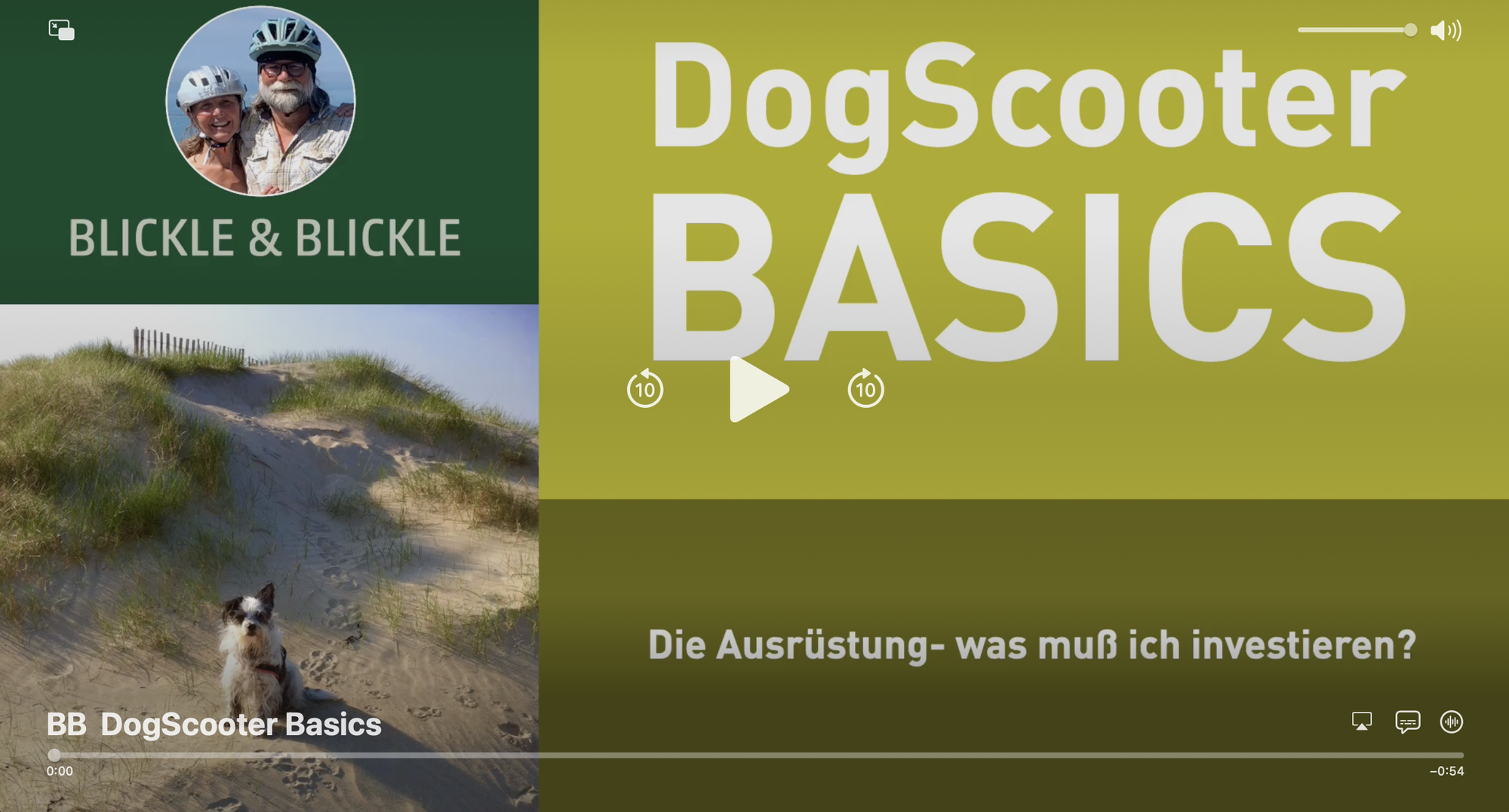 Dogscooter-Basics...