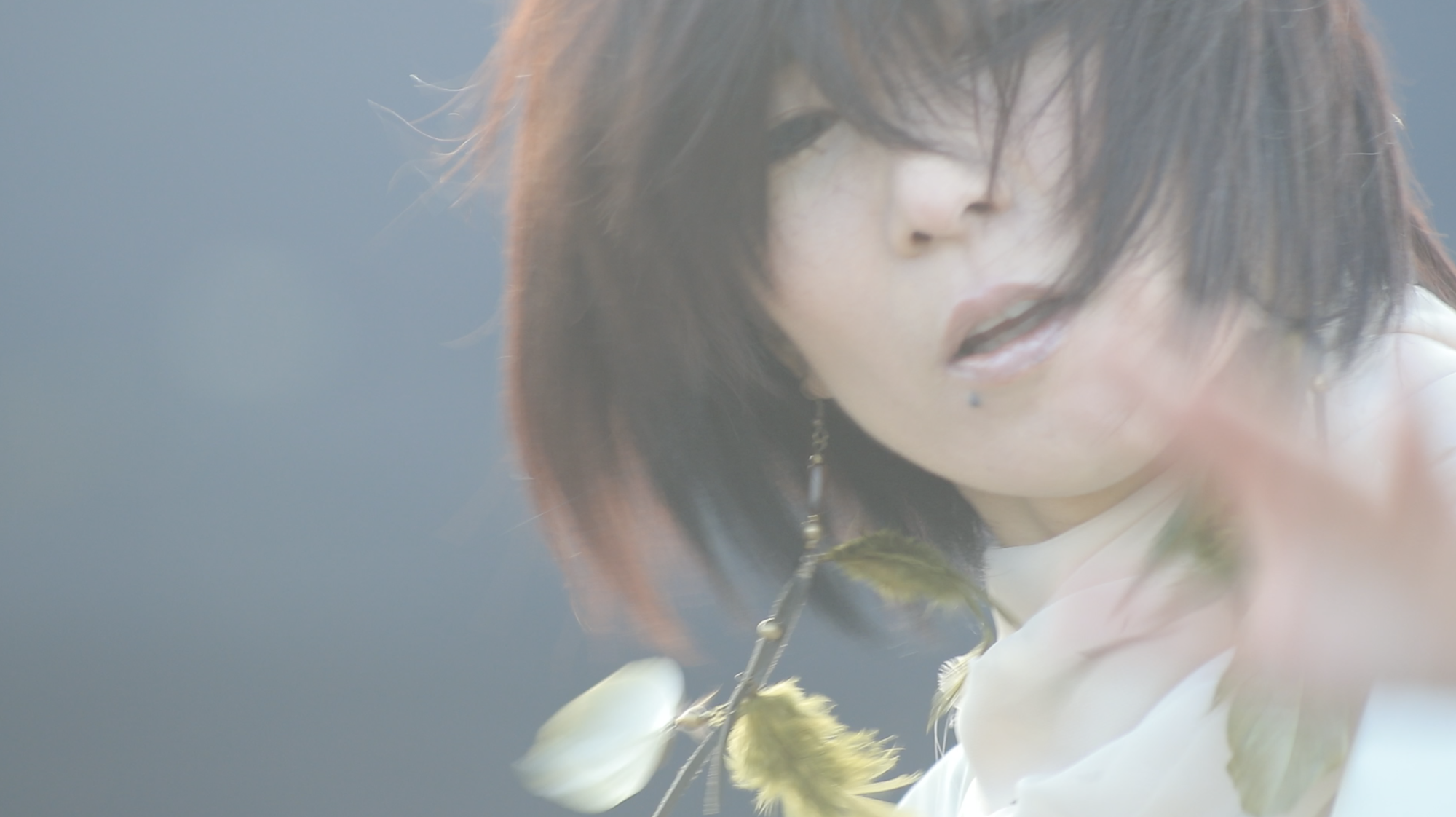 DVD - はたけやま裕 カホンとパーカッション奏者