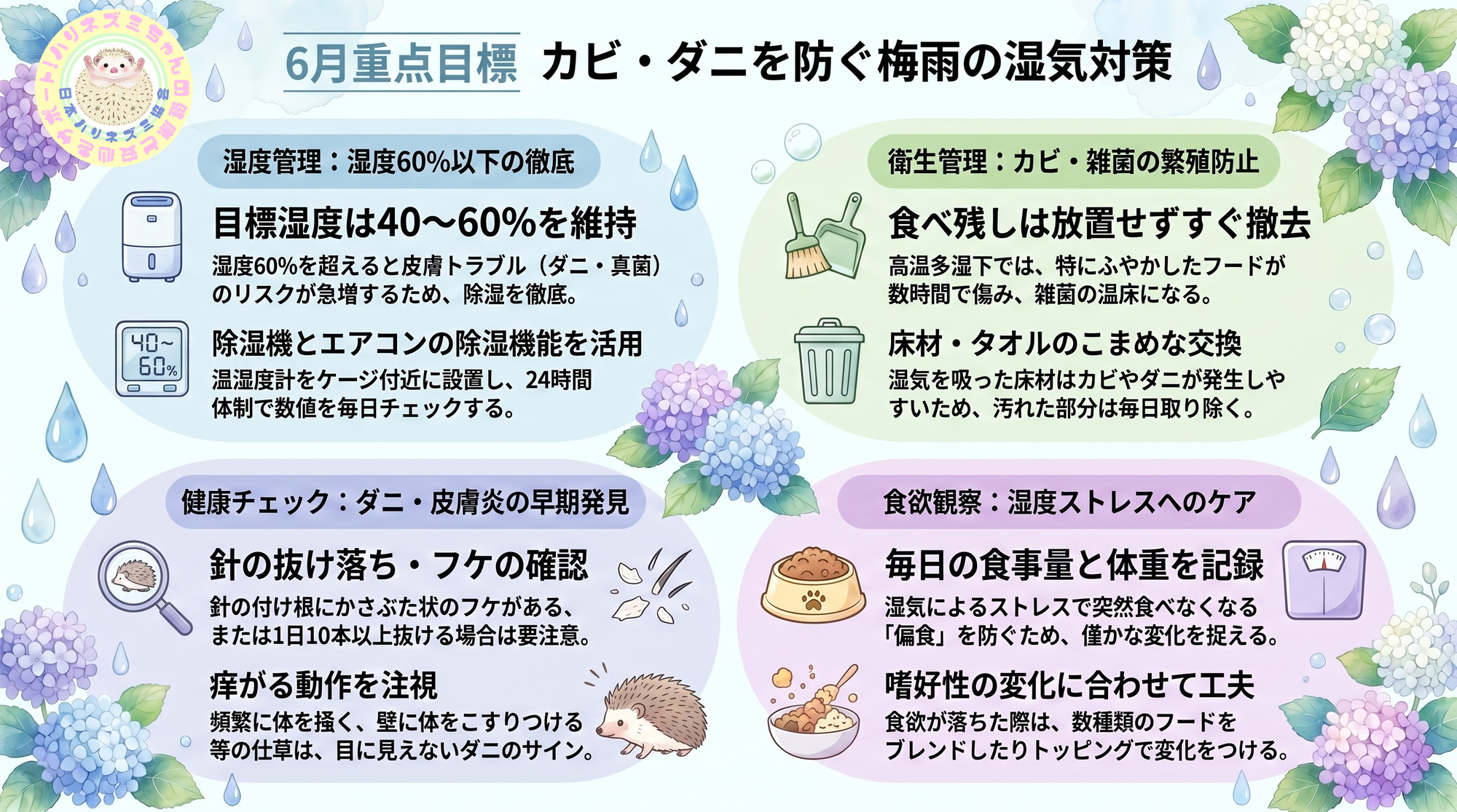 6月重点目標！ーハリネズミ健康手帳ー