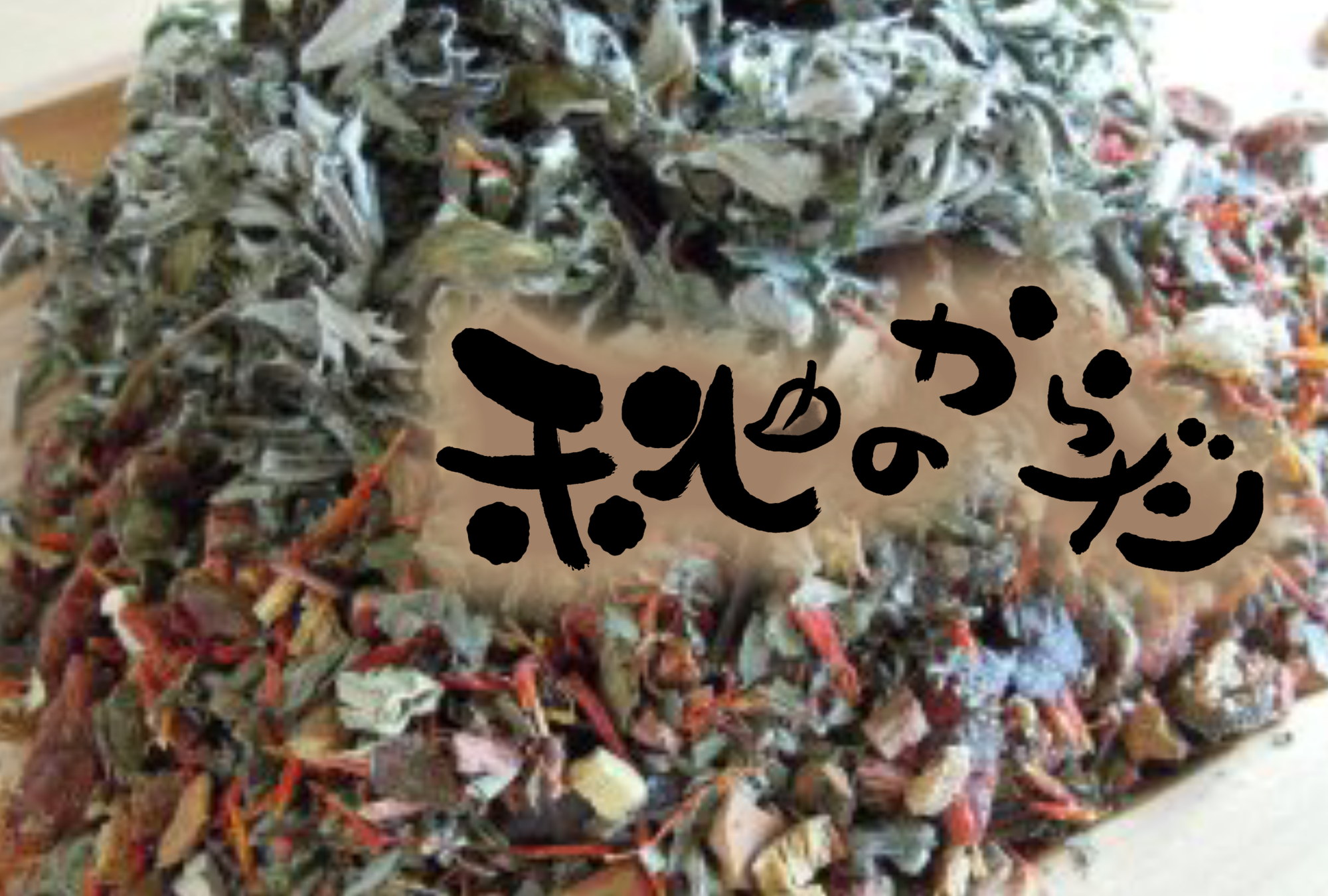 9月〜10月のご予約について