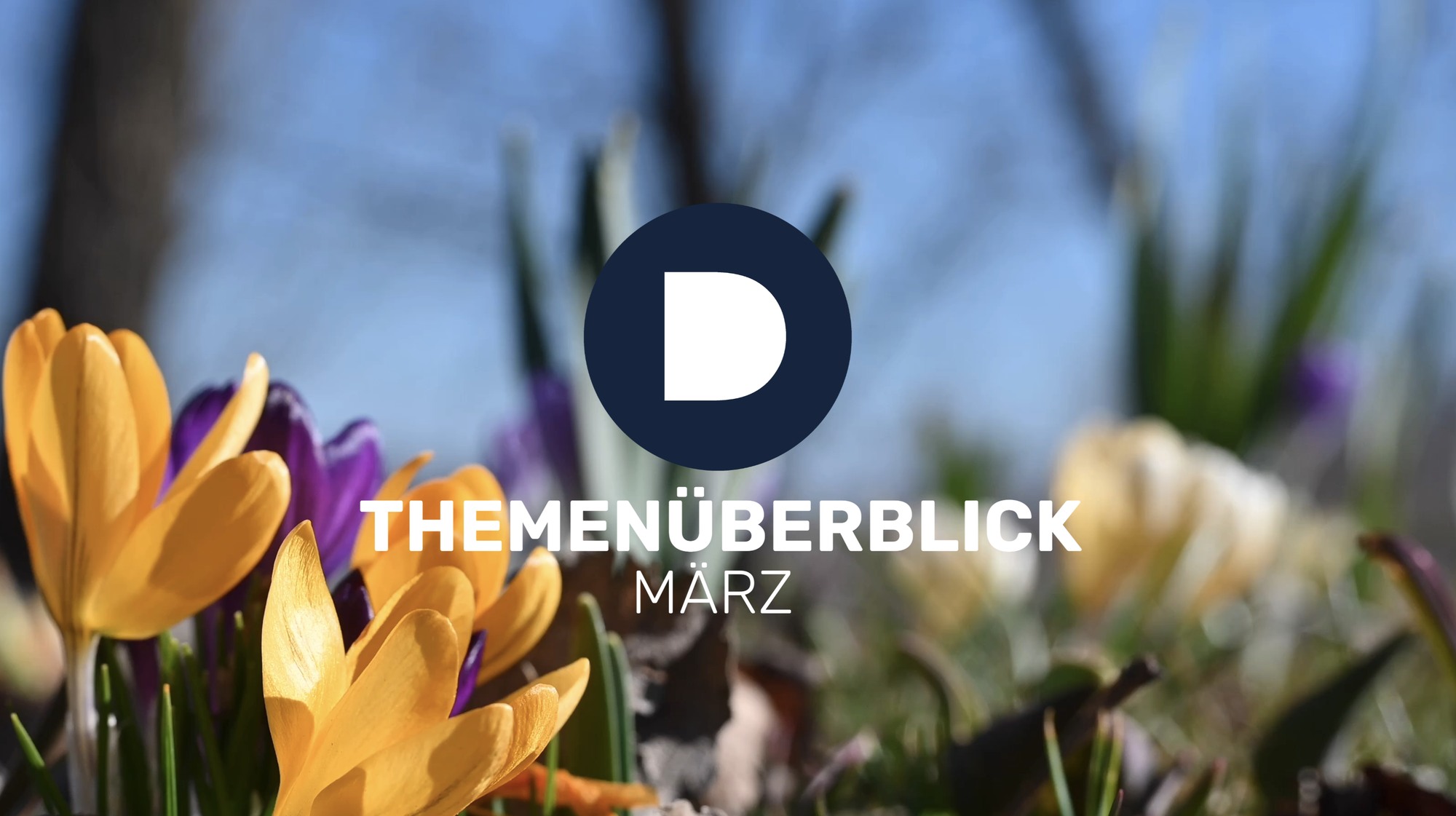 DEMUTH IM MÄRZ - THEMENÜBERSICHT