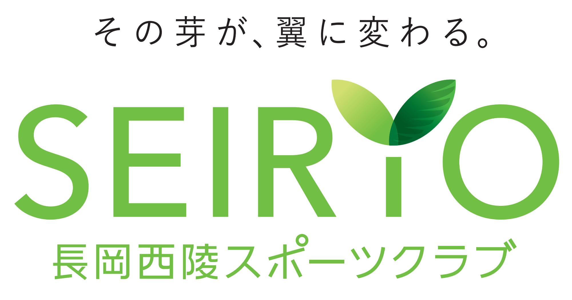 クラブ代表・石坂陽之介　長岡市スポーツ施設ストック適正化計画策定委員会　副委員長就任のお知らせ