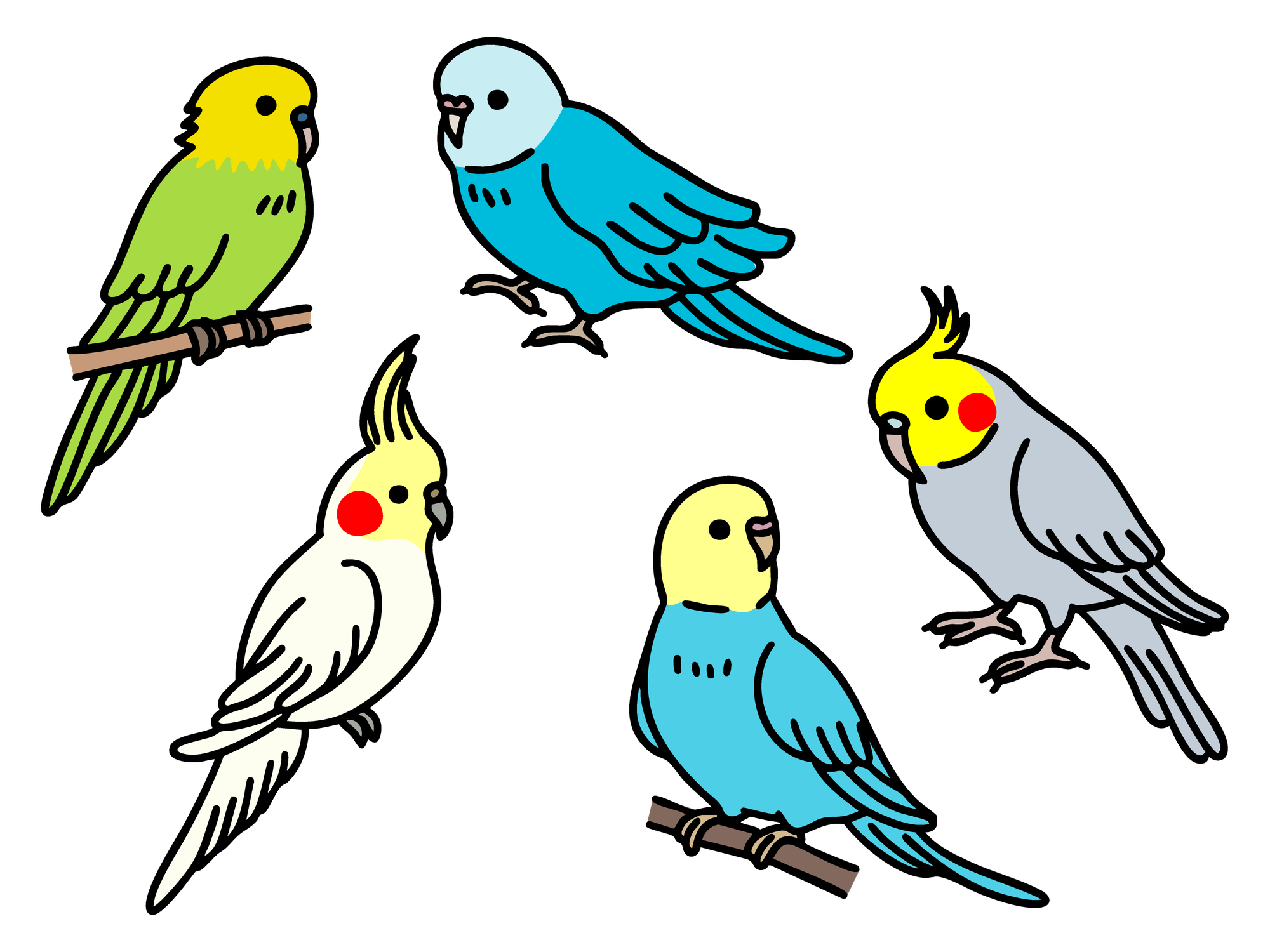インコ脱走事件【前編】