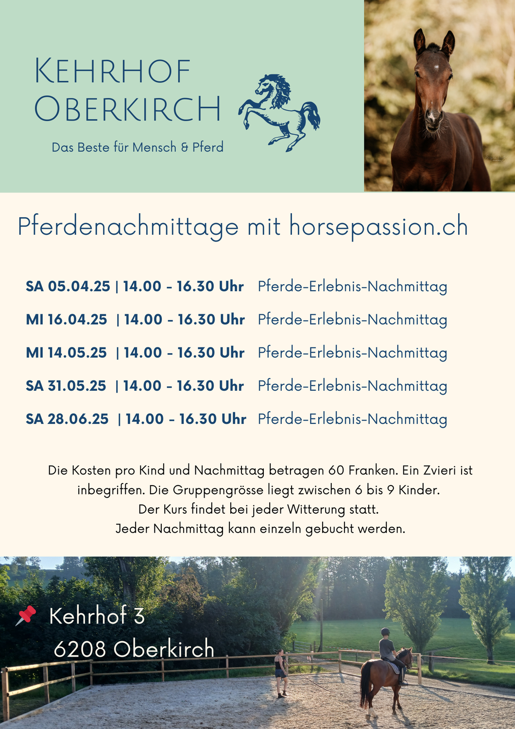 Pferde-Erlebnis-Nachmittage in Oberkirch