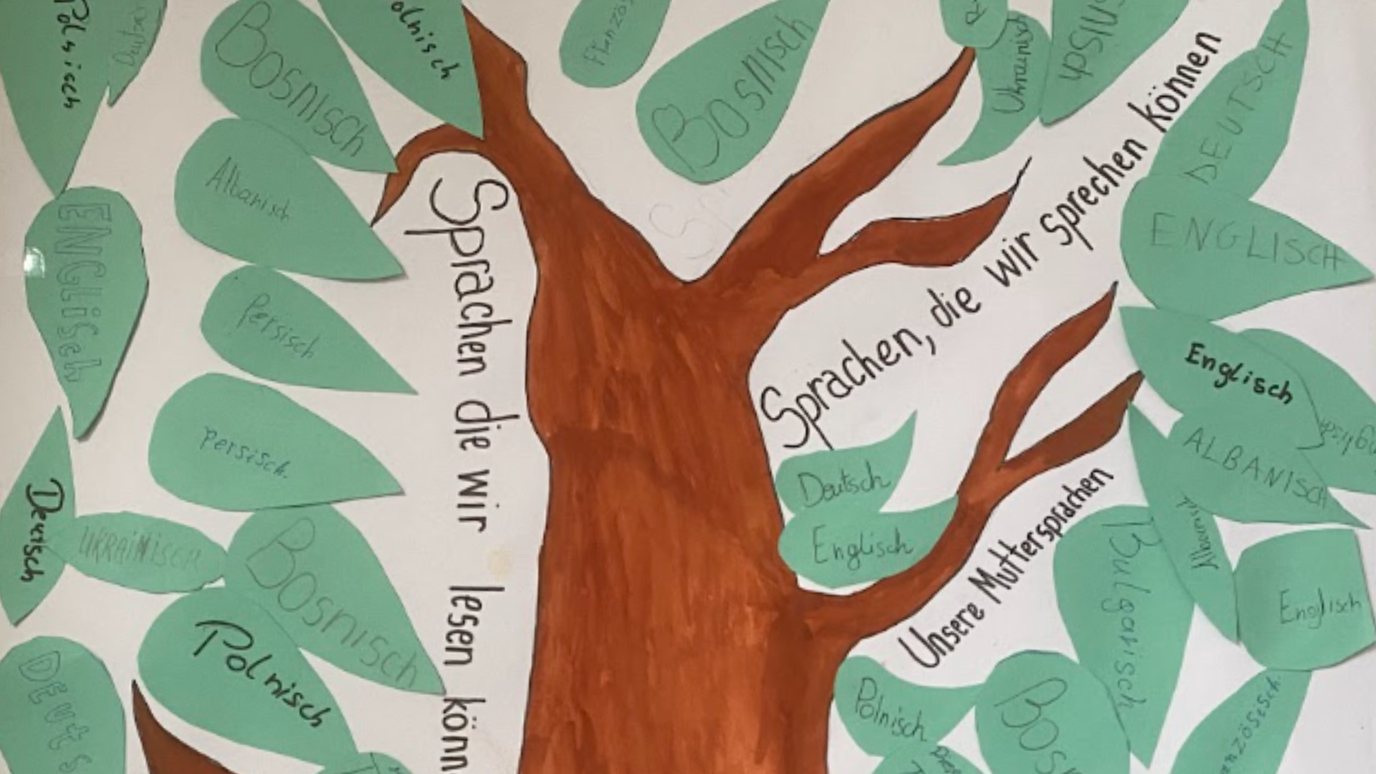 Mehrsprachigkeit als Gewinn