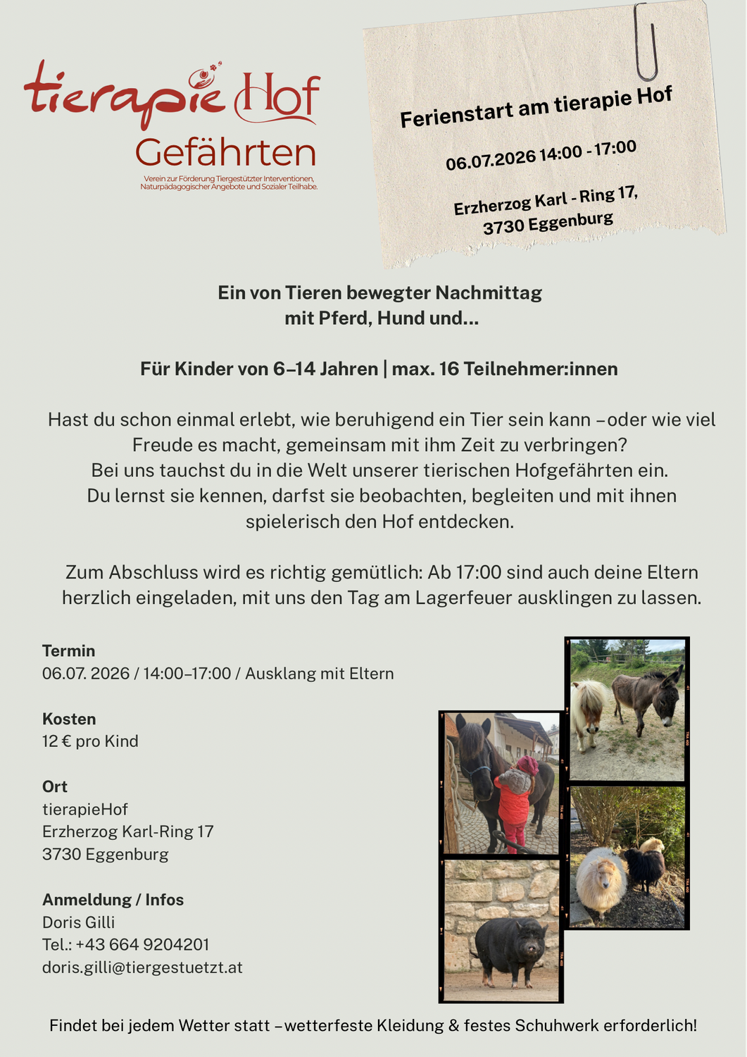 Ein von Tieren bewegter Nachmittag mit Pferd, Hund und...
