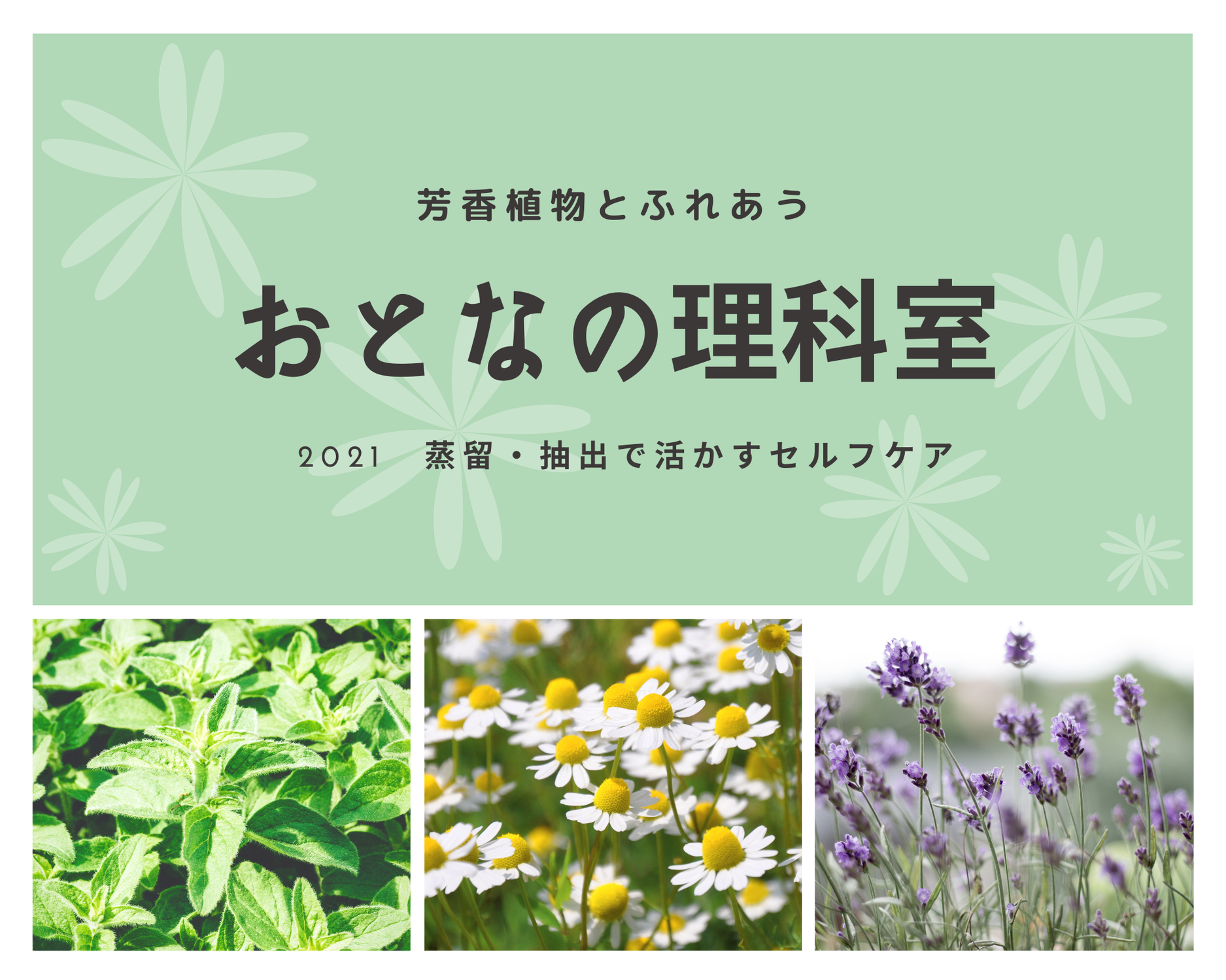 【2021年春開講日報カルチャー教室】おとなの理科室：ハーブとアロマのいいとこどり講座