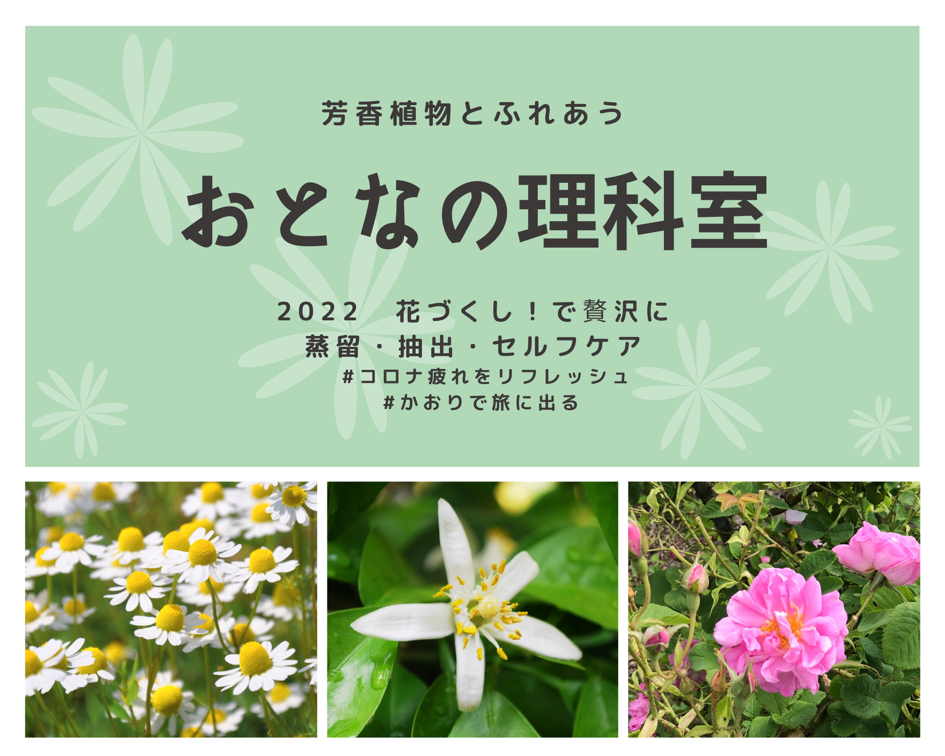 【2022年春開講：新潟日報カルチャー長岡教室】おとなの理科室：おとなの理科室2022花づくしで贅沢に～ハーブとアロマのいいとこどり