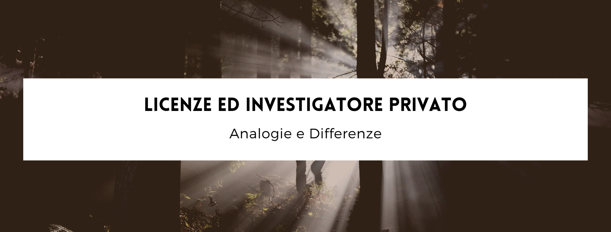 Licenze ed investigatore privato, analogie e differenze