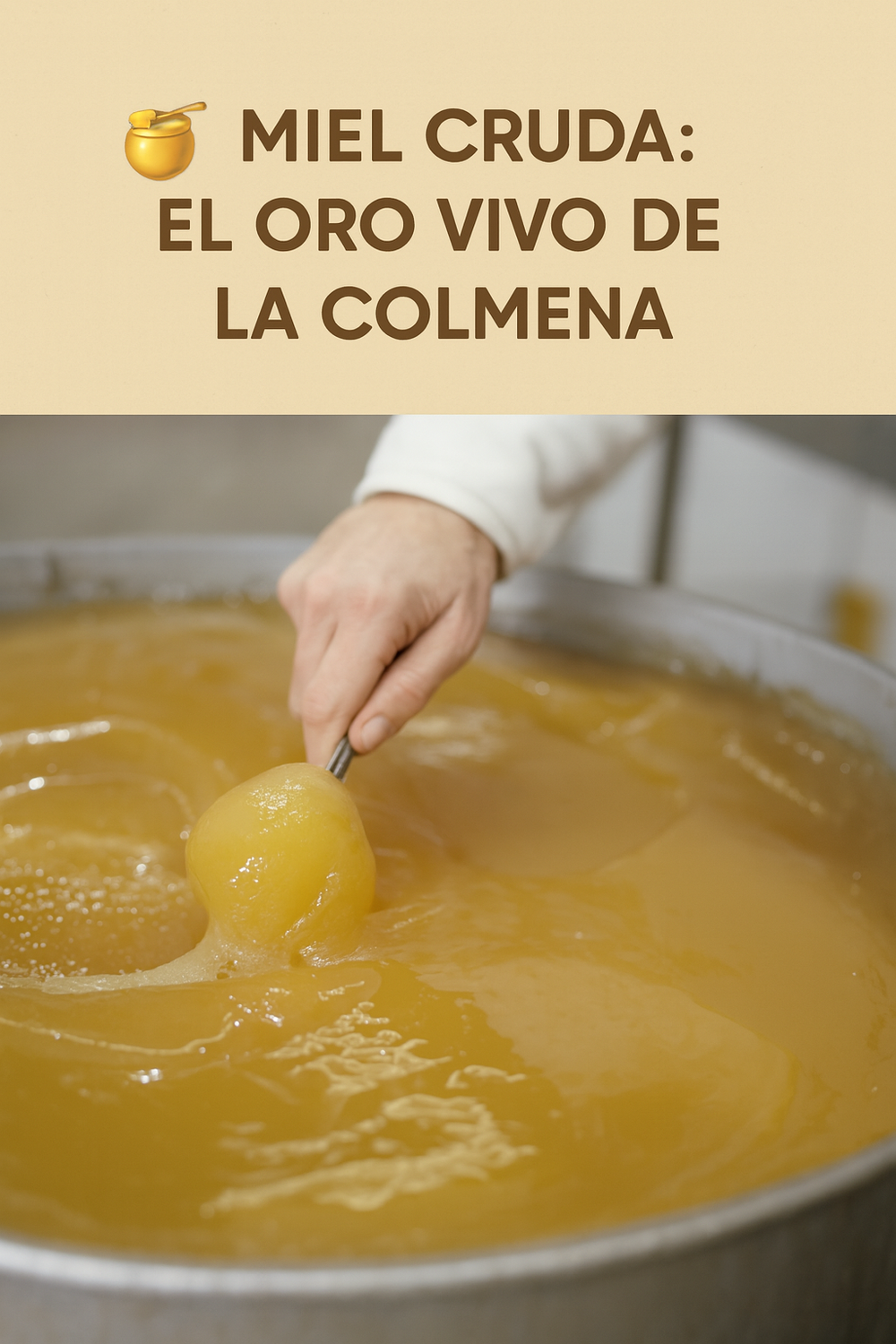 Miel cruda: el alimento que la naturaleza hace sin apuro