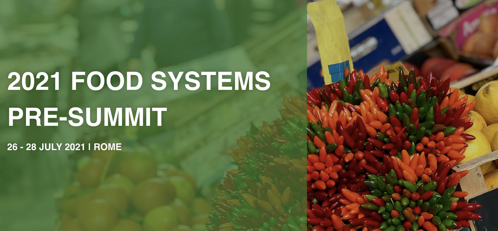 UN Food Systems Summit