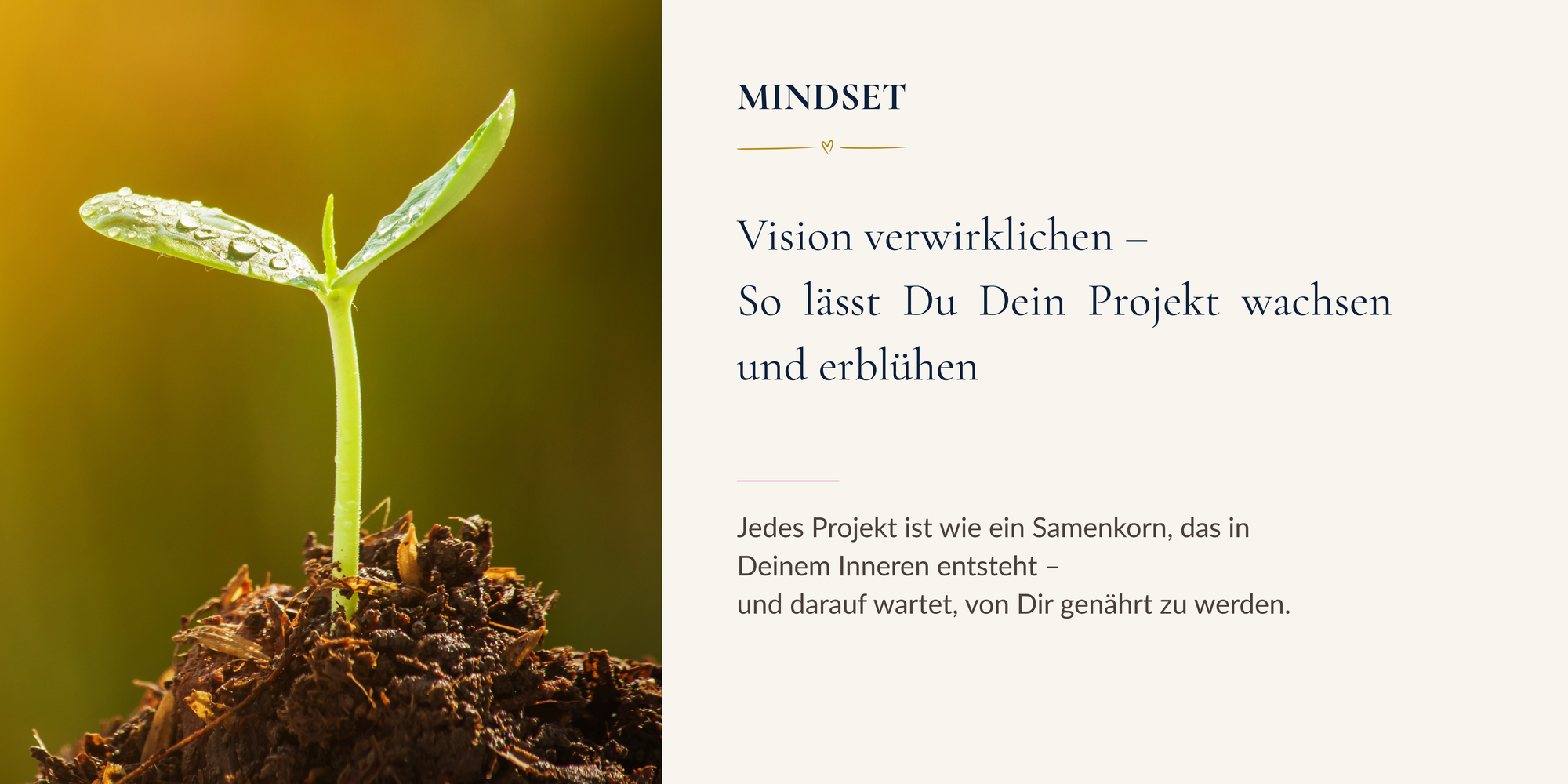 Vision verwirklichen – So lässt Du Dein Projekt wachsen und erblühen
