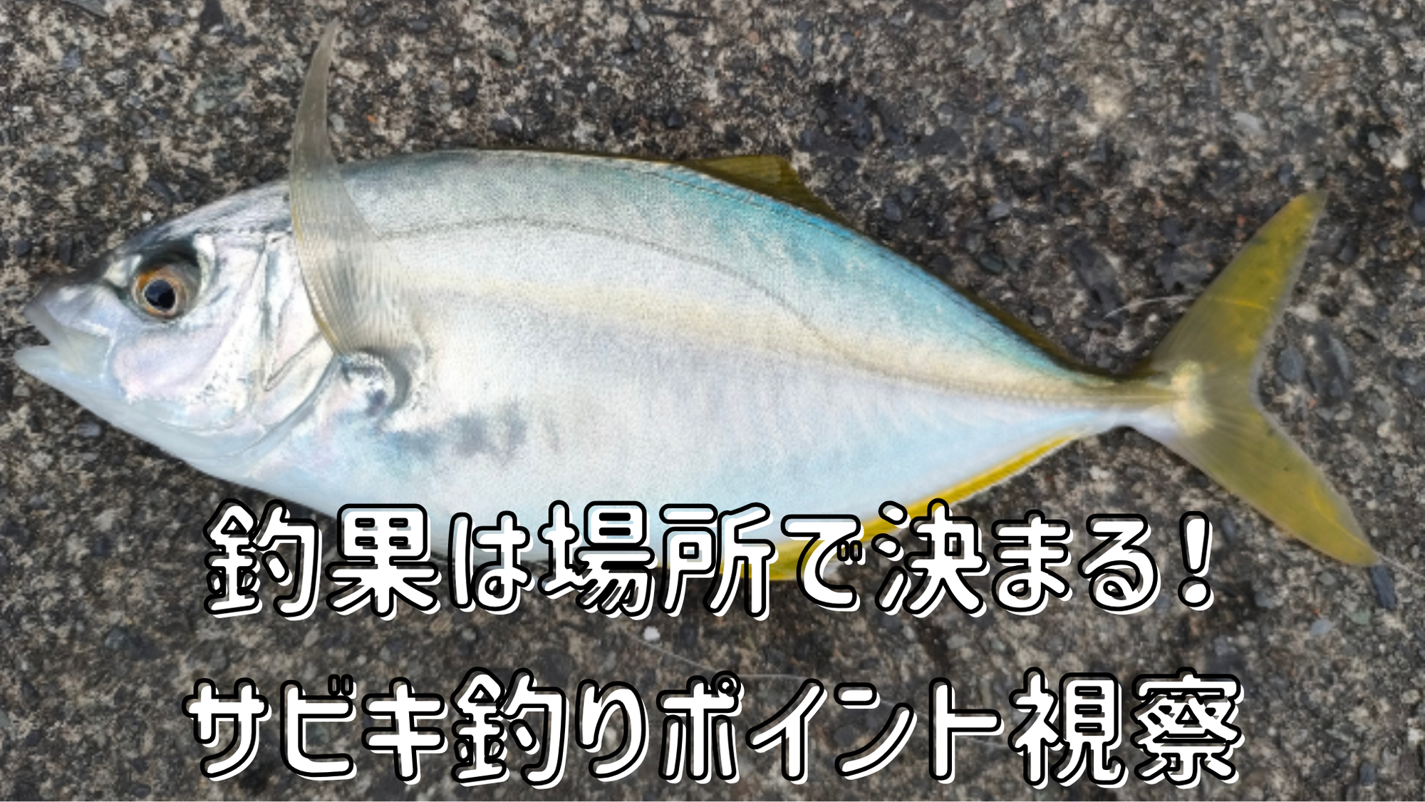 【桟橋釣行】釣果は場所で決まる！サビキ釣り優良ポイント視察レポート