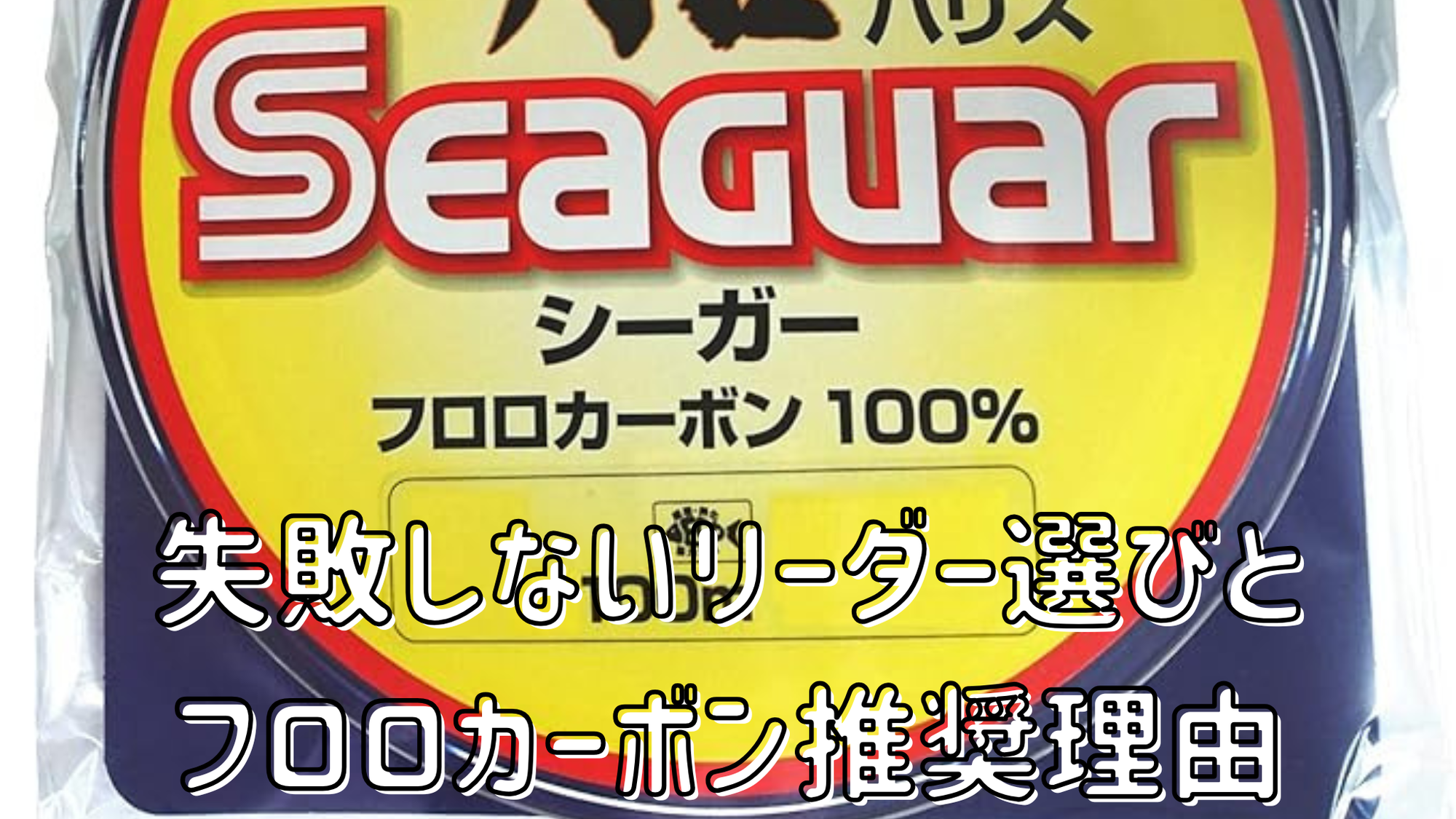 初心者でも失敗しない！リーダーの選び方とフロロカーボンをおすすめする理由
