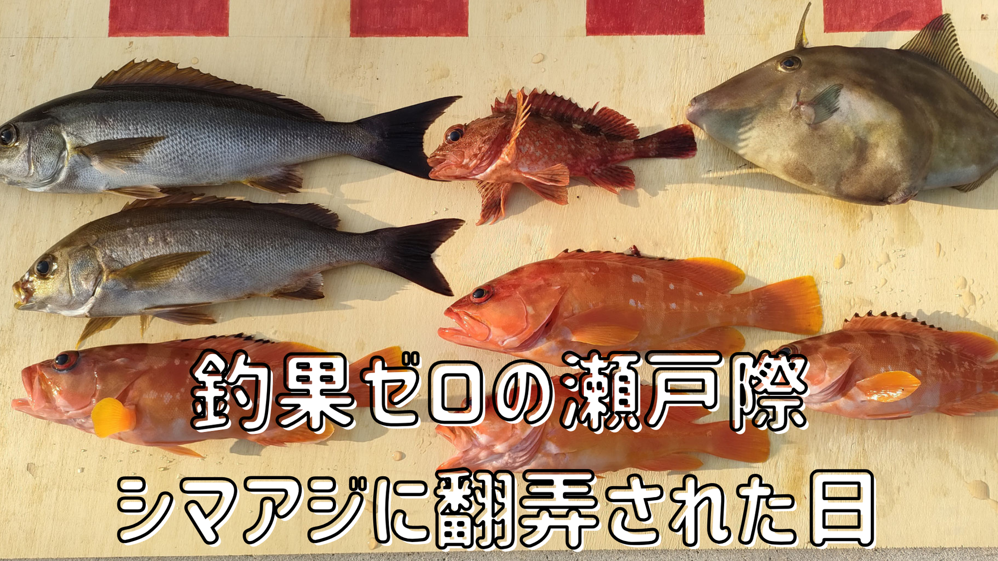 【船釣行】釣果ゼロの瀬戸際！シマアジに翻弄され、カンパチは夢と消えた日