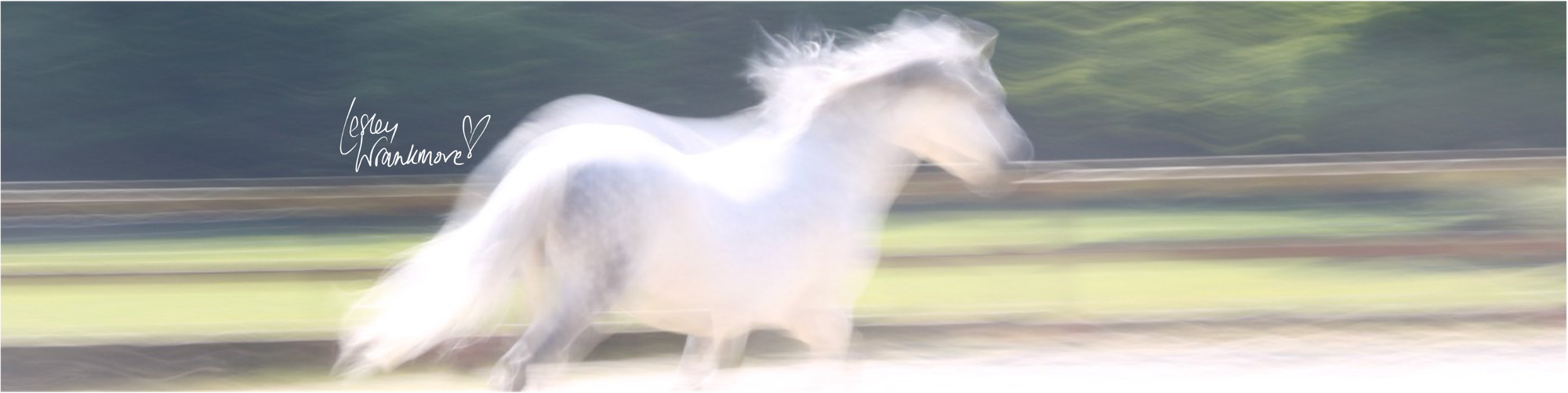 Unleash the Power of Marketing in Your Equine Business