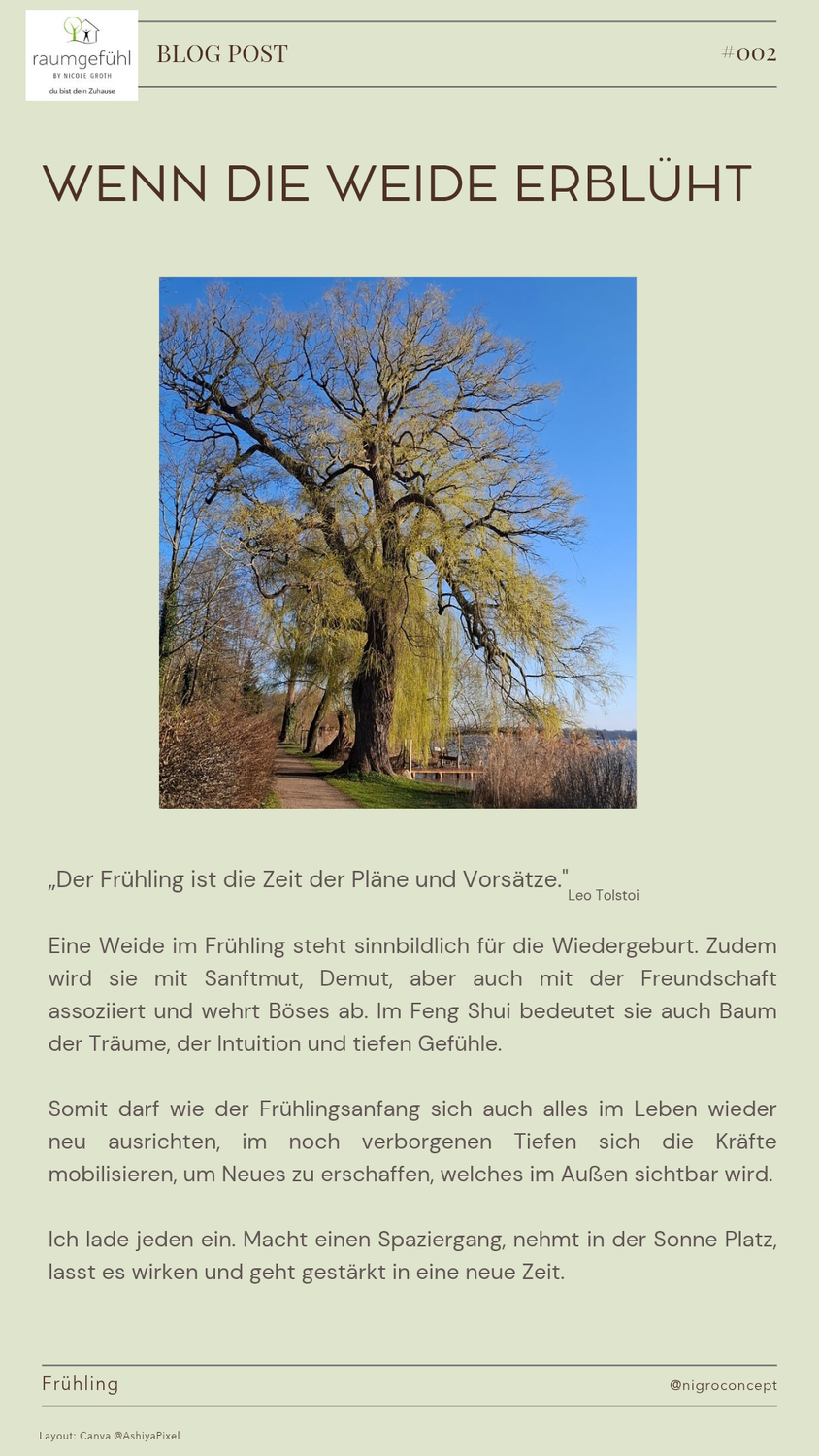 Wenn die Weide erblüht