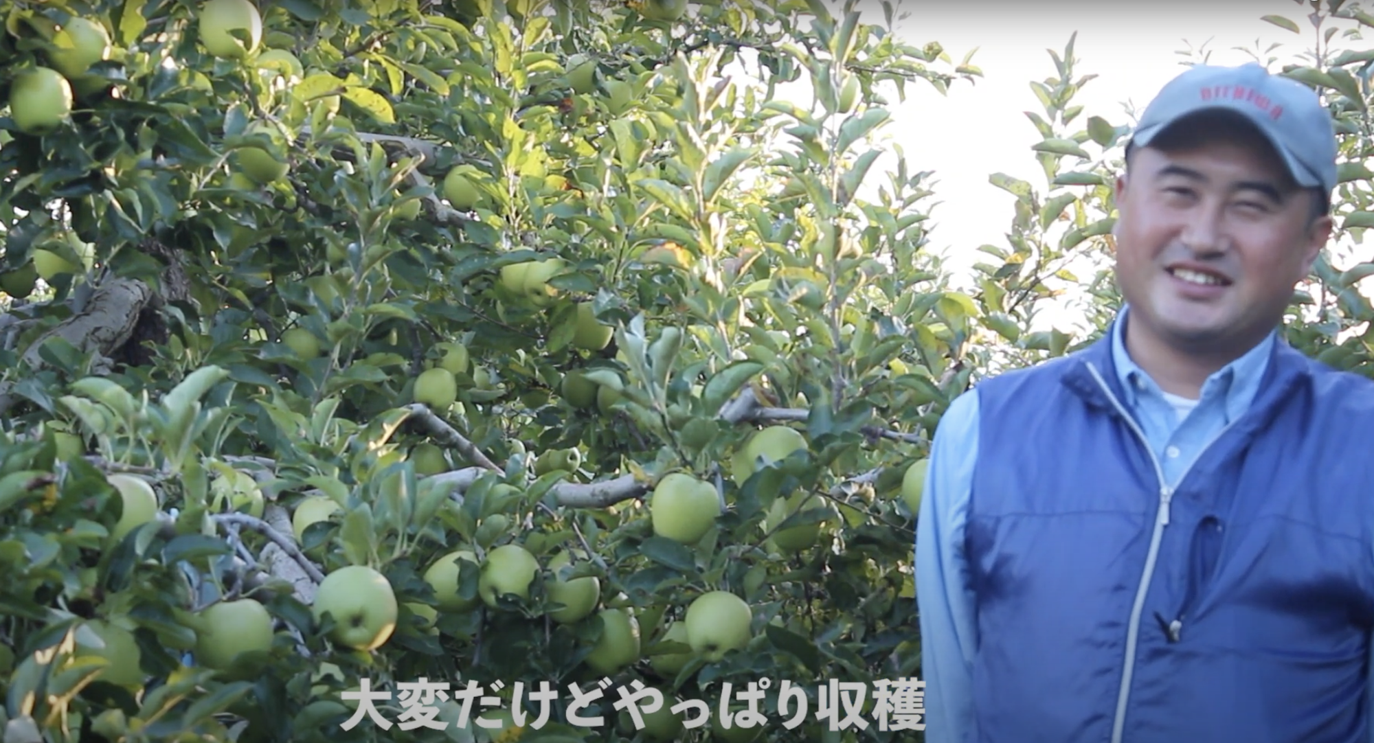 青森県藤崎町のりんご農家「唐牛苹果園（かろうじへいかえん）」代表 唐牛冬仁より自己紹介 その1