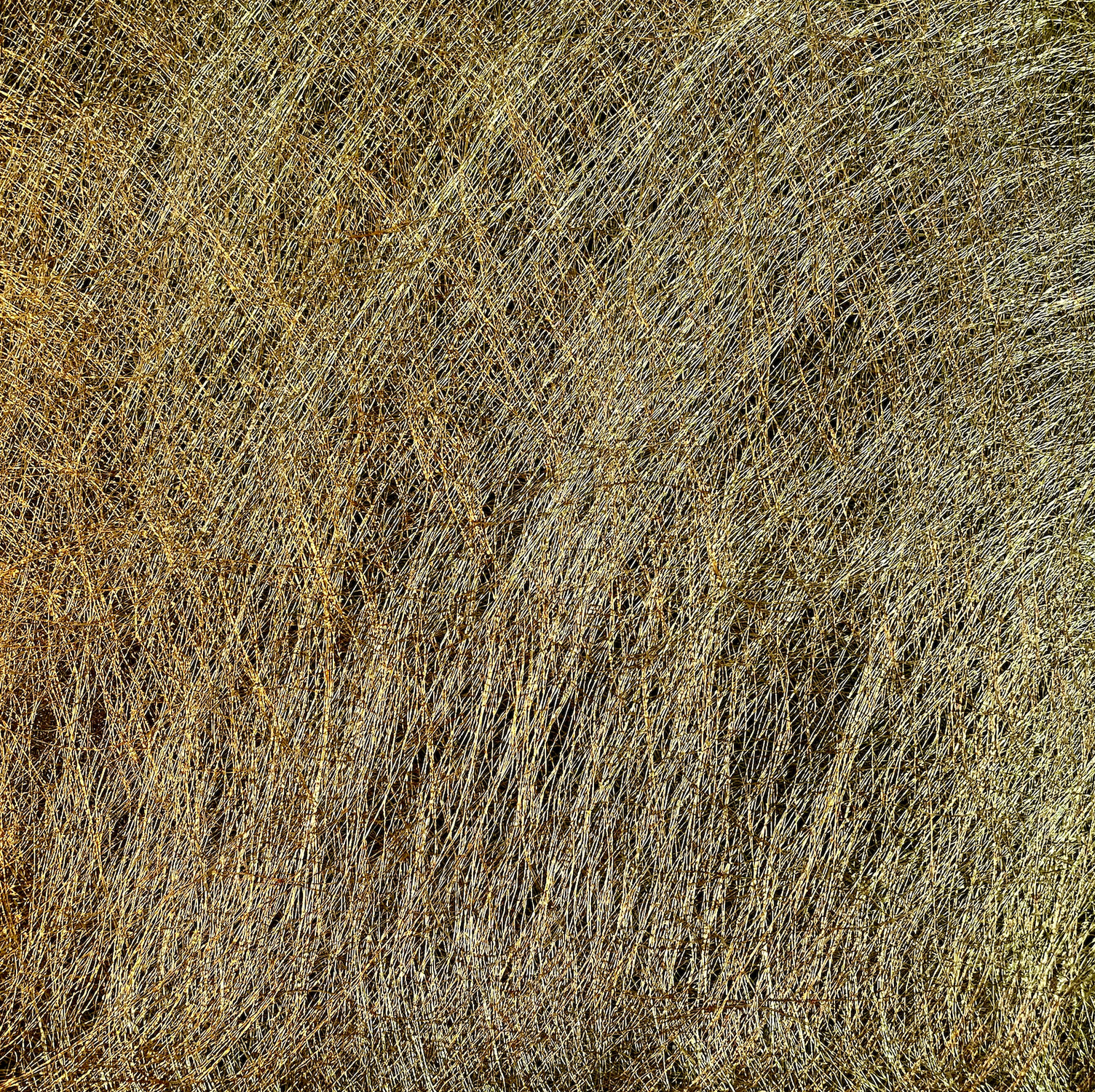 Papiertapeten aus Naturpapier
