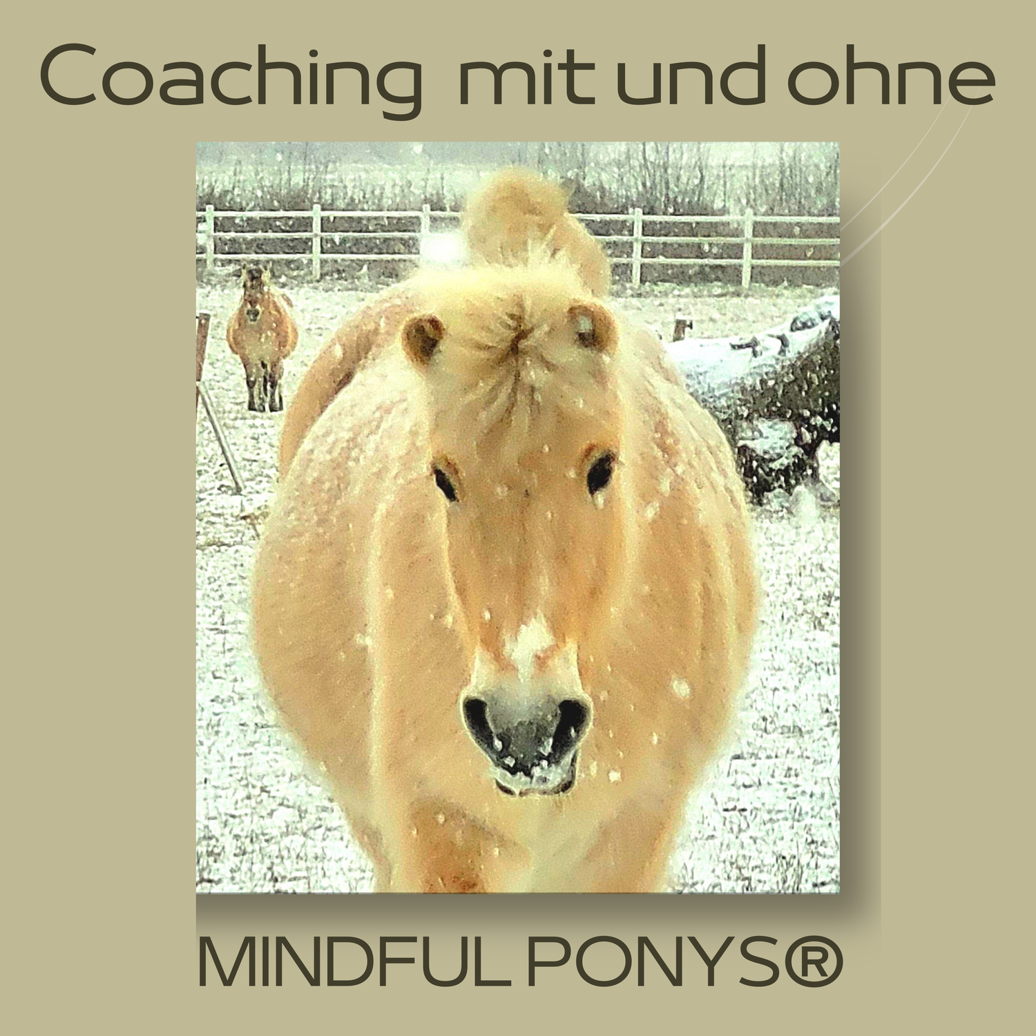 Coaching mit und ohne Pferd