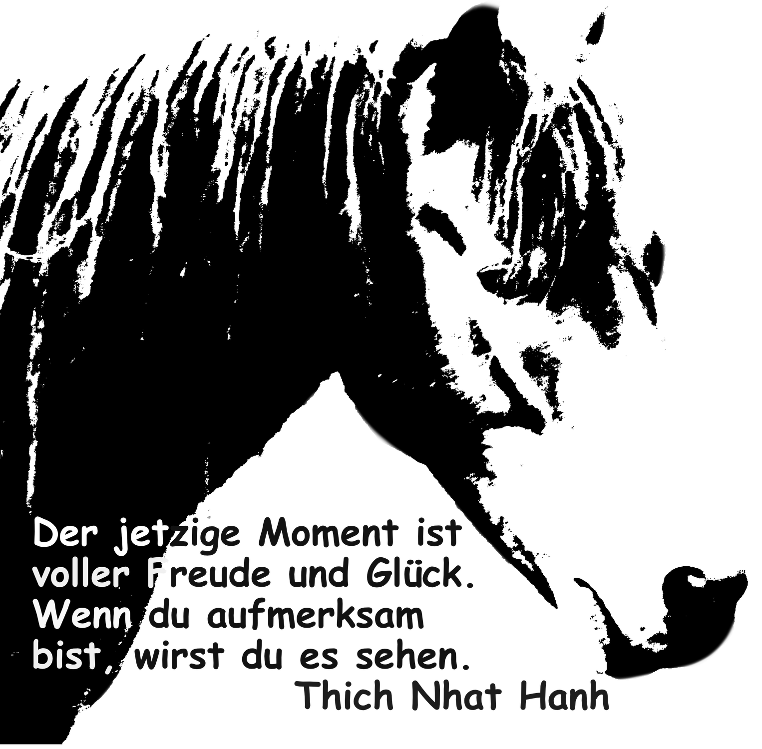 Achtsamkeit mit Pferden
